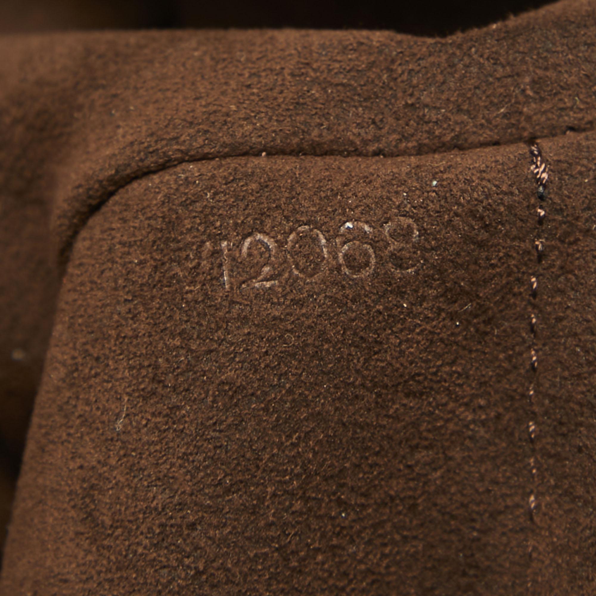 Bolso GM Louis Vuitton París Souple de piel marrón con susurro 12