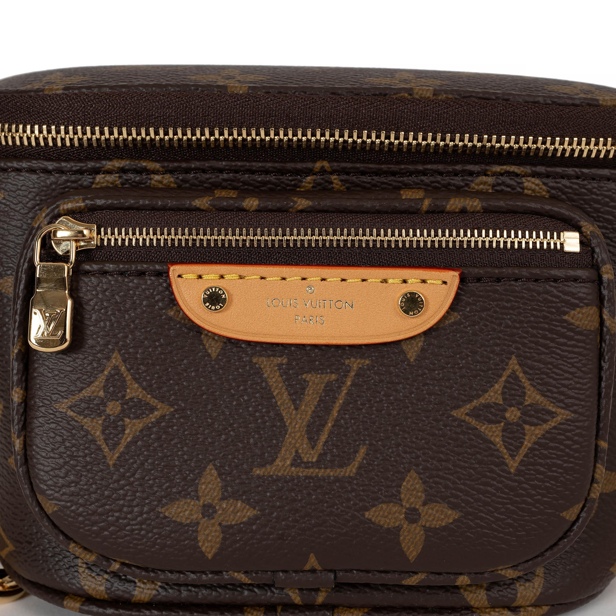 LOUIS VUITTON marrón Monograma lona MINI BUMBAG Bolso de hombro en venta 1