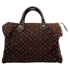 Louis Vuitton Brown Monogram Canvas Mini Lin Speedy 30