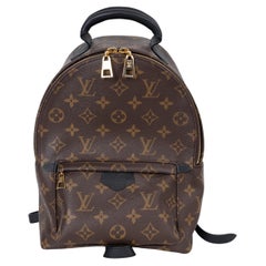 LOUIS VUITTON brown Monogram canvas PALM SPRINGS PM Backpack Bag