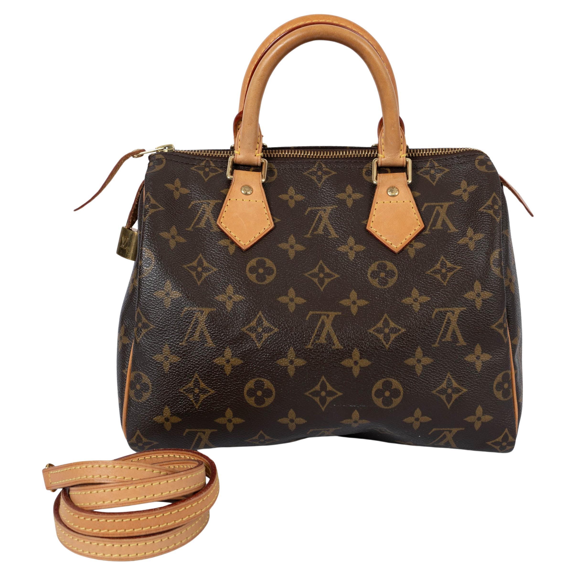 Is the Louis Vuitton Speed bag discontinued?