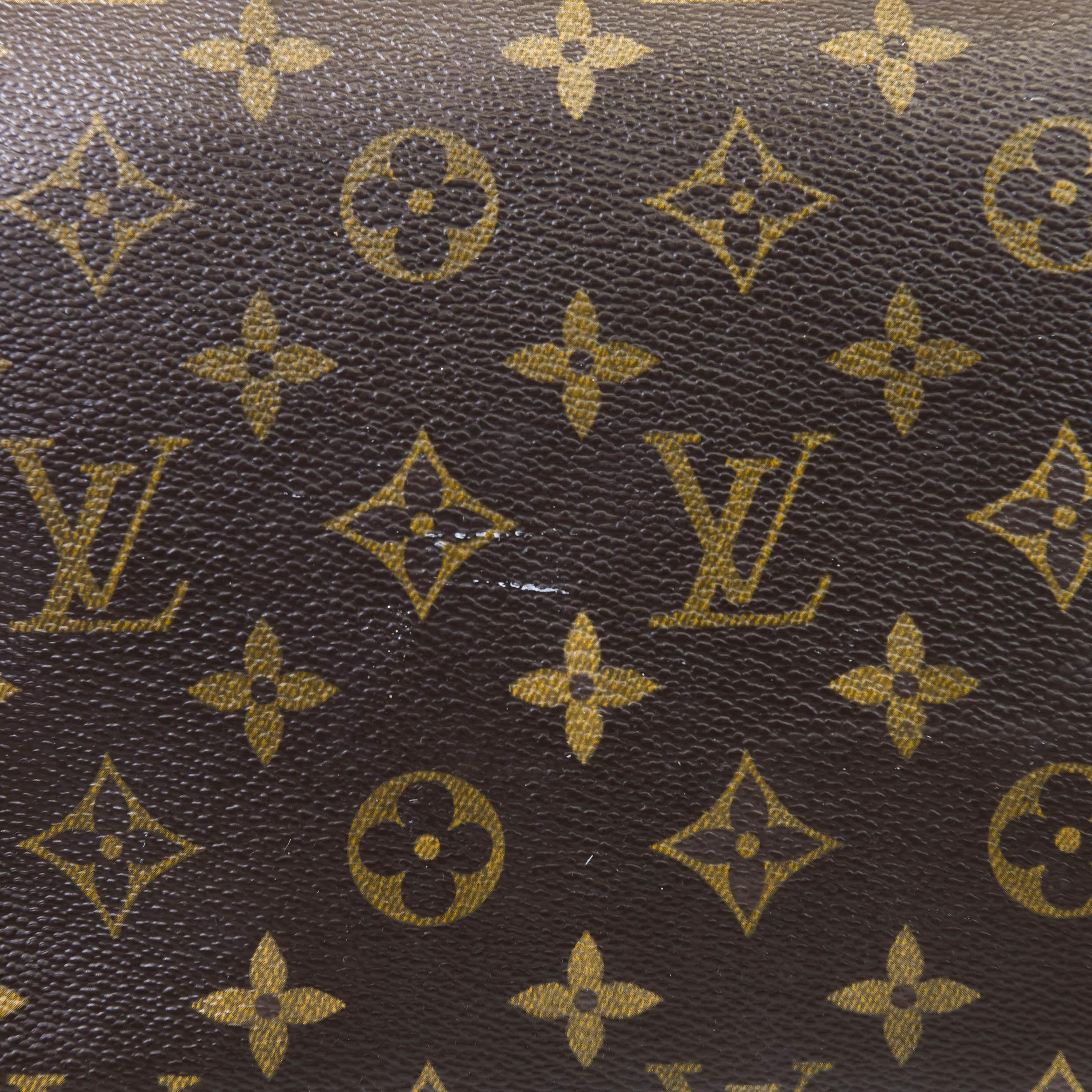 Louis Vuitton Brown Monogram Canvas Speedy 25 Tote 6