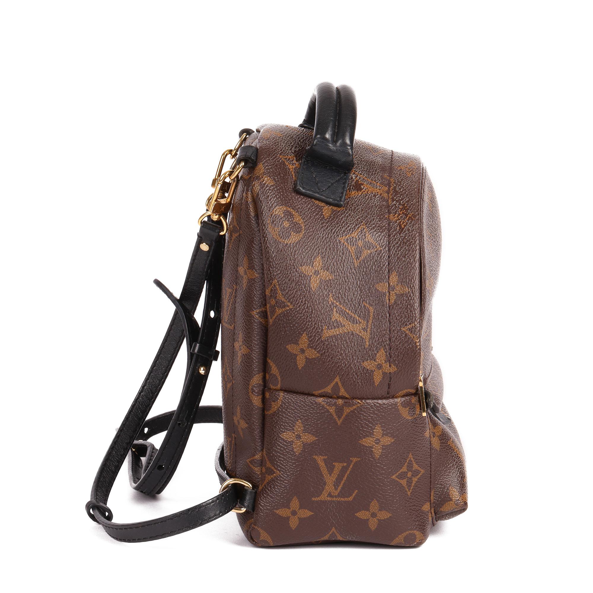 Louis Vuitton Brown Monogram Coated Canvas Mini Palm Springs Backpack 7