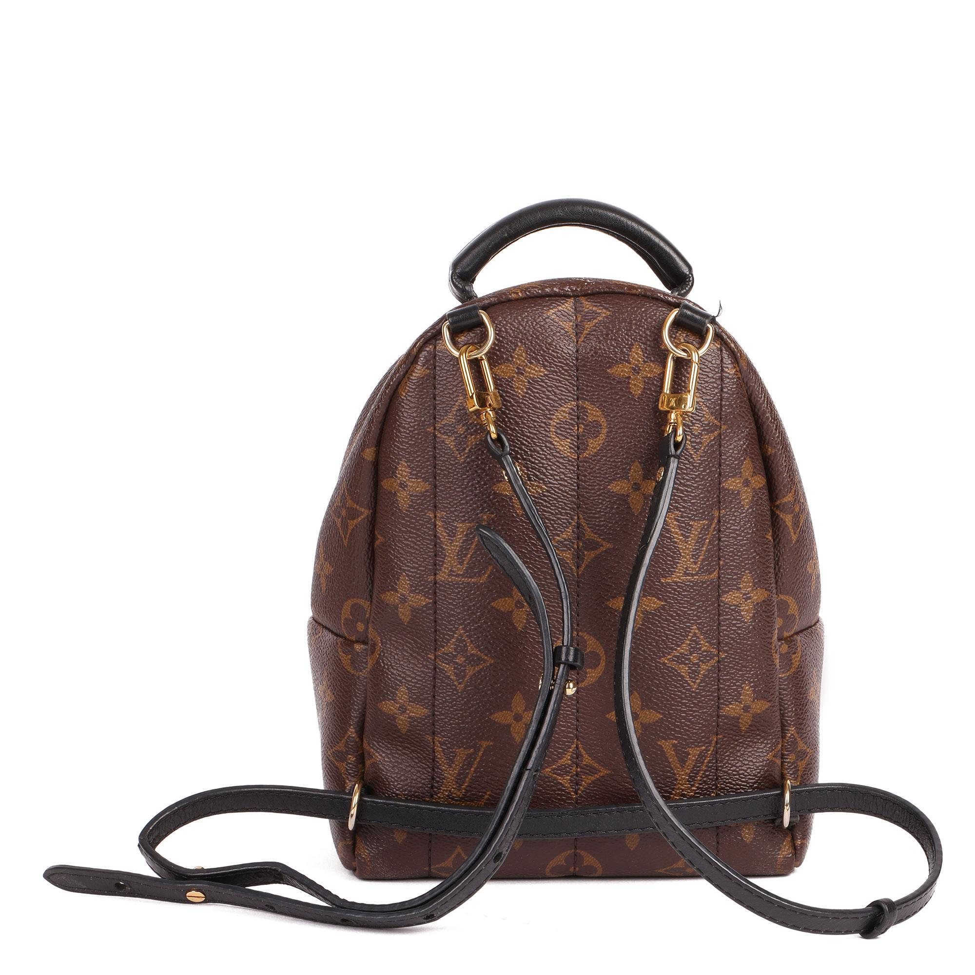 Louis Vuitton Brown Monogram Coated Canvas Mini Palm Springs Backpack 9