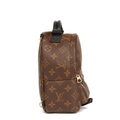 Louis Vuitton Brown Monogram Coated Canvas Mini Palm Springs Backpack
