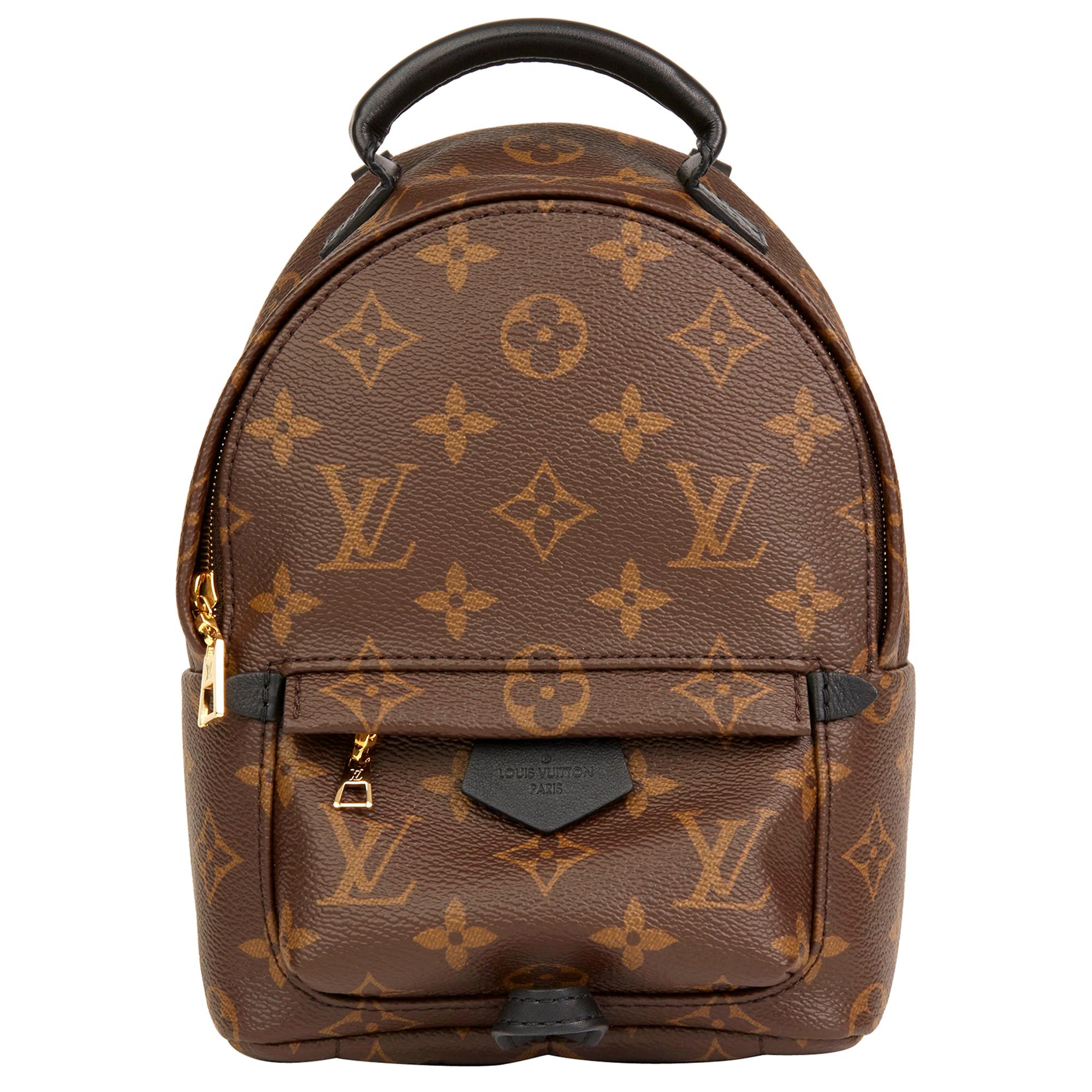 Louis Vuitton Brown Monogram Coated Canvas Mini Palm Springs Backpack