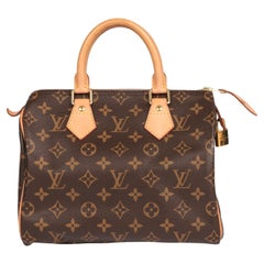 LOUIS VUITTON Brown Monogram Coated Canvas & Vacehtta Leather Speedy 25