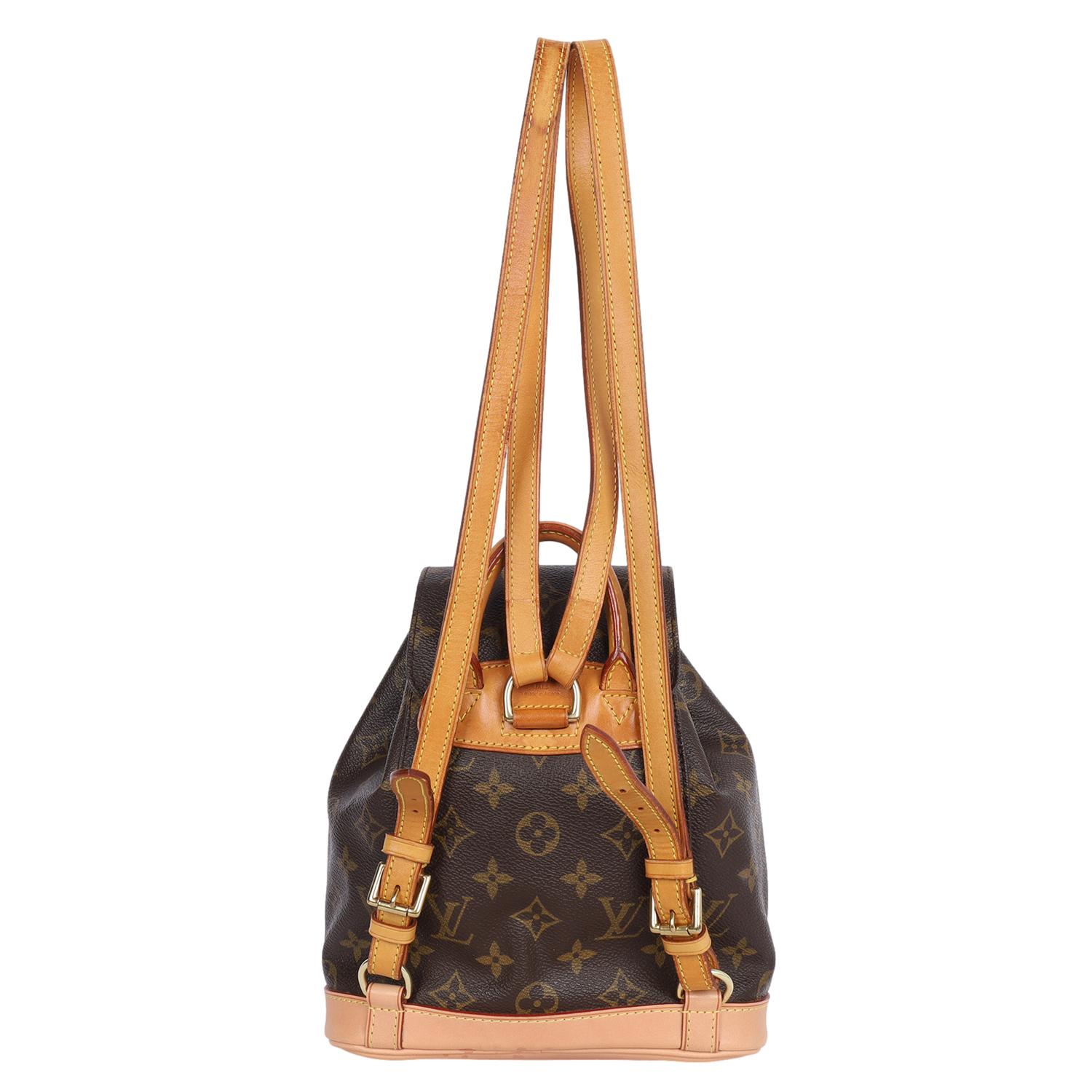 Women's or Men's Louis Vuitton Brown Monogram Montsouris Backpack PM  For Sale