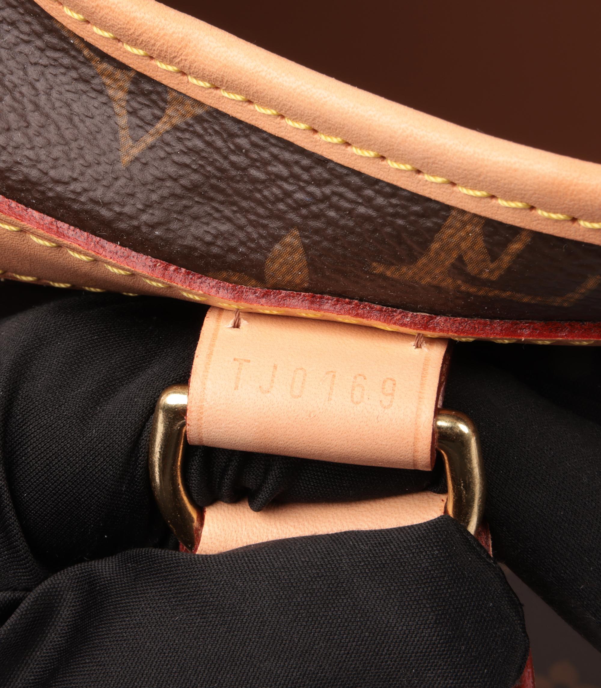 Louis Vuitton Brown Monogram Sac Chien 40 Pet Carrier 5