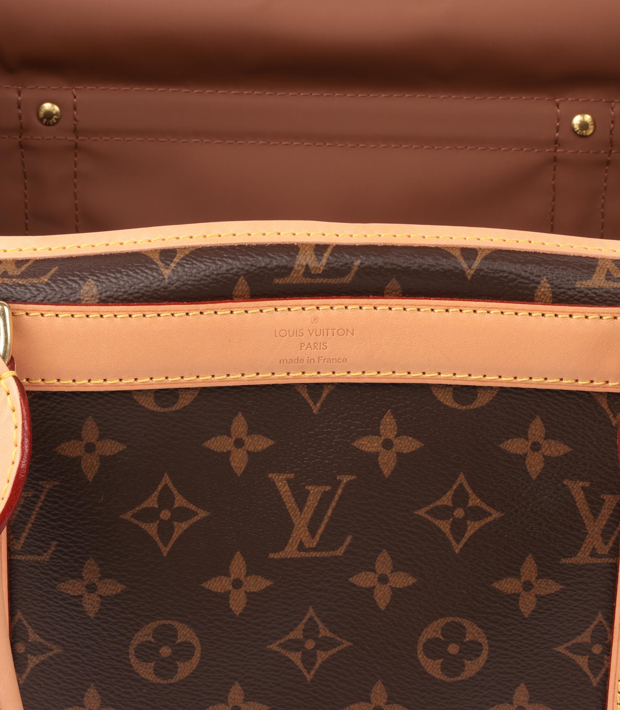 Louis Vuitton Brown Monogram Sac Chien 40 Pet Carrier 4
