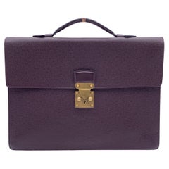 Louis Vuitton Brown Taiga Leather Robusto 1 Compartment Briefcase