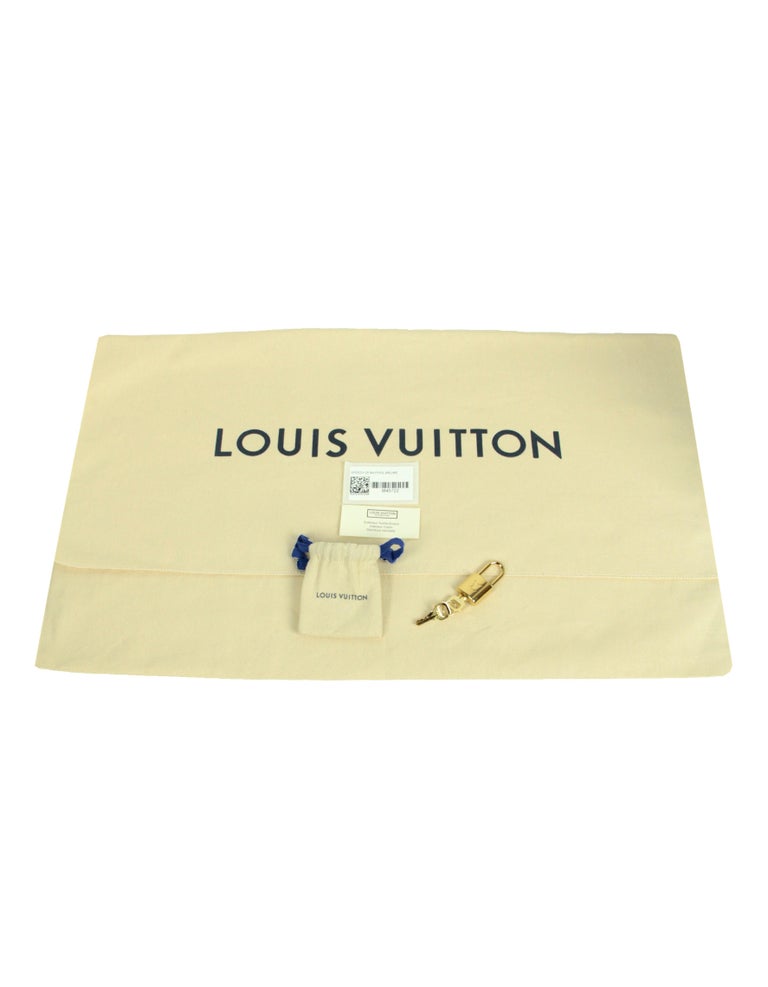 Louis Vuitton Mist Monogram Giant By the Pool Speedy Bandoulière 25 - Ann's  Fabulous Closeouts