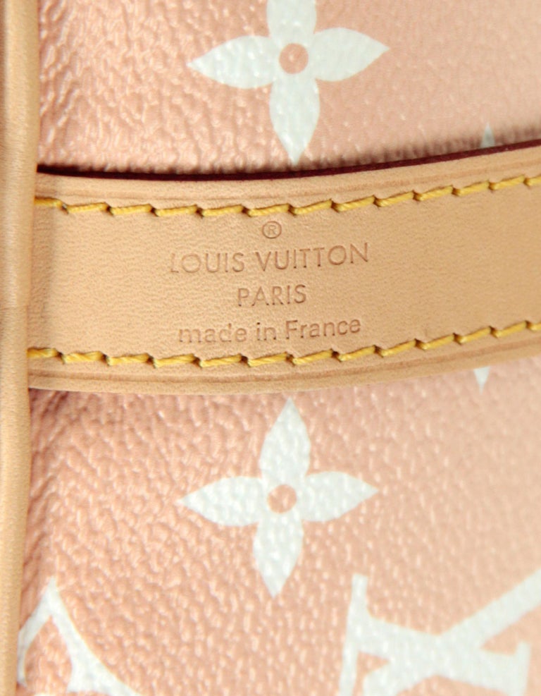 Louis Vuitton Mist Monogram Giant By the Pool Speedy Bandoulière 25 - Ann's  Fabulous Closeouts