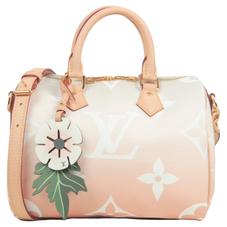 Louis Vuitton Brume Monogram Giant By The Pool Speedy Bandouliere 25 Bag  For Sale at 1stDibs