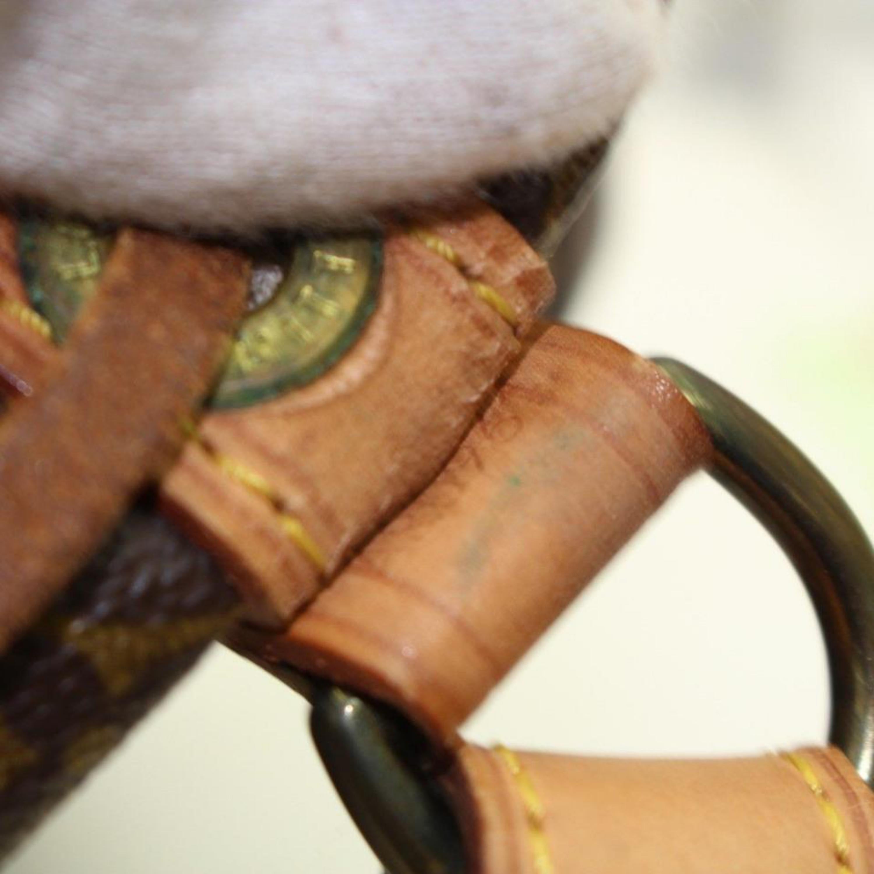 Louis Vuitton Bucket Monogram Petit Noe Drawstring Hobo 869519 Brown Coated Canv For Sale 5