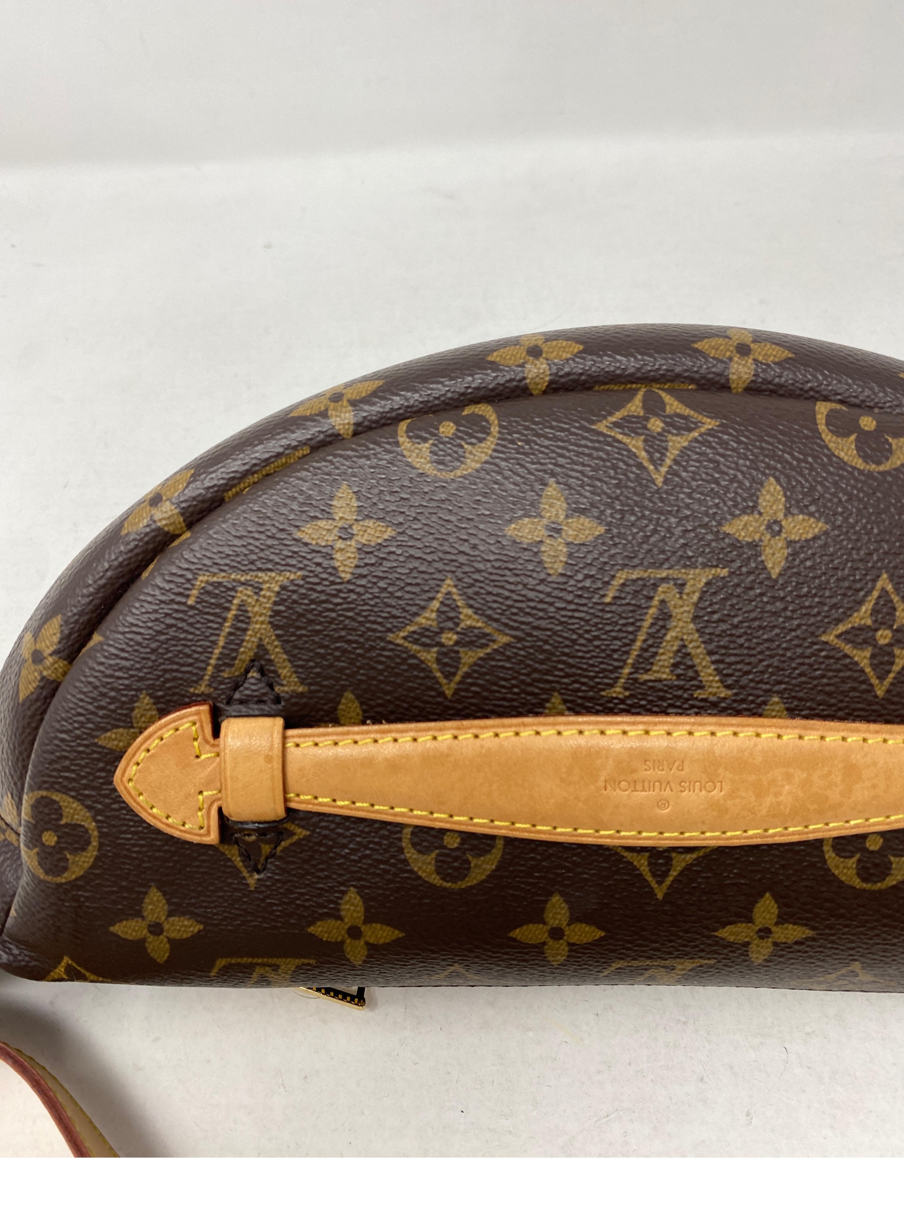 Louis Vuitton Bum Bag  5