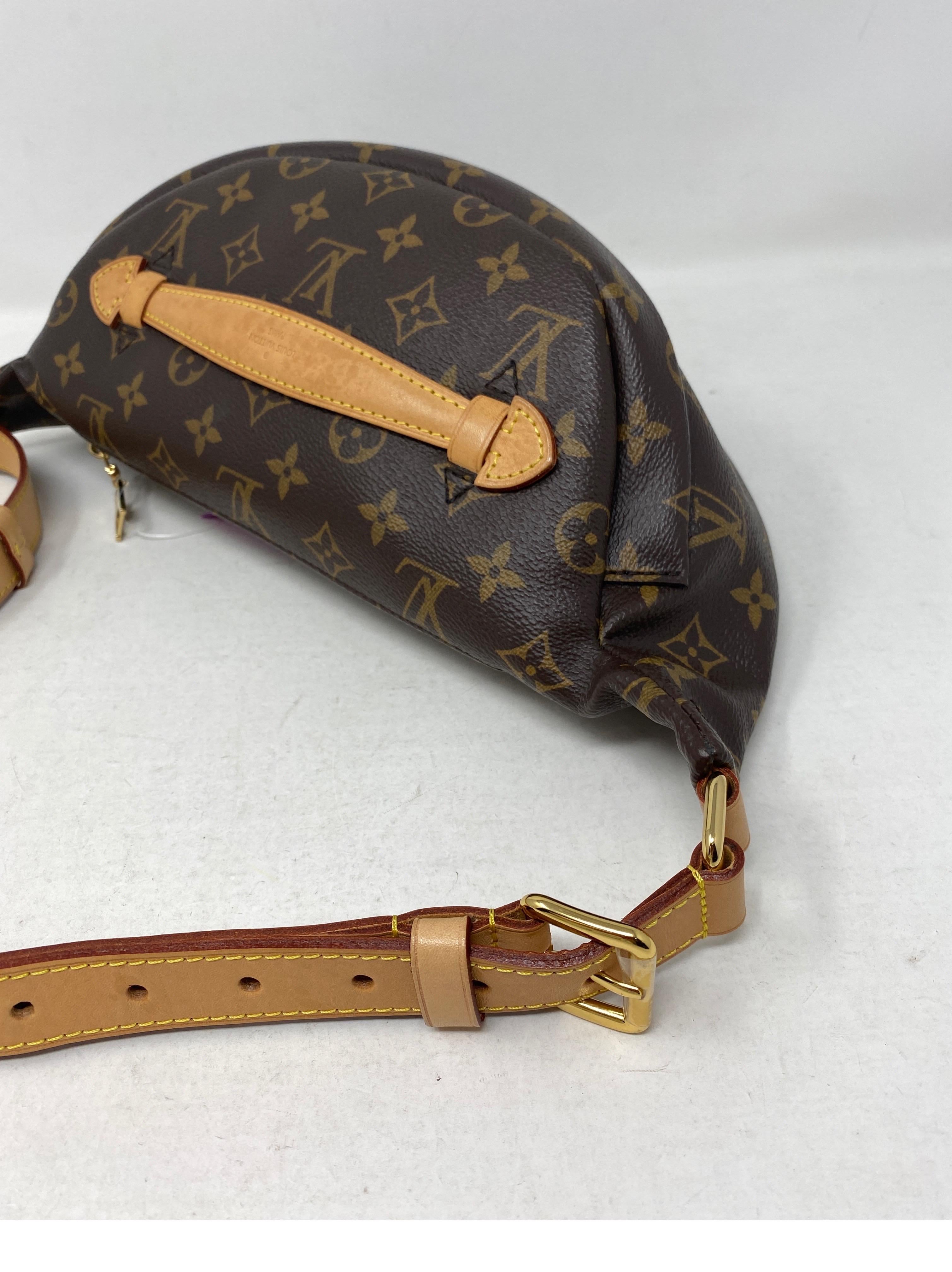 Louis Vuitton Bum Bag  For Sale 7