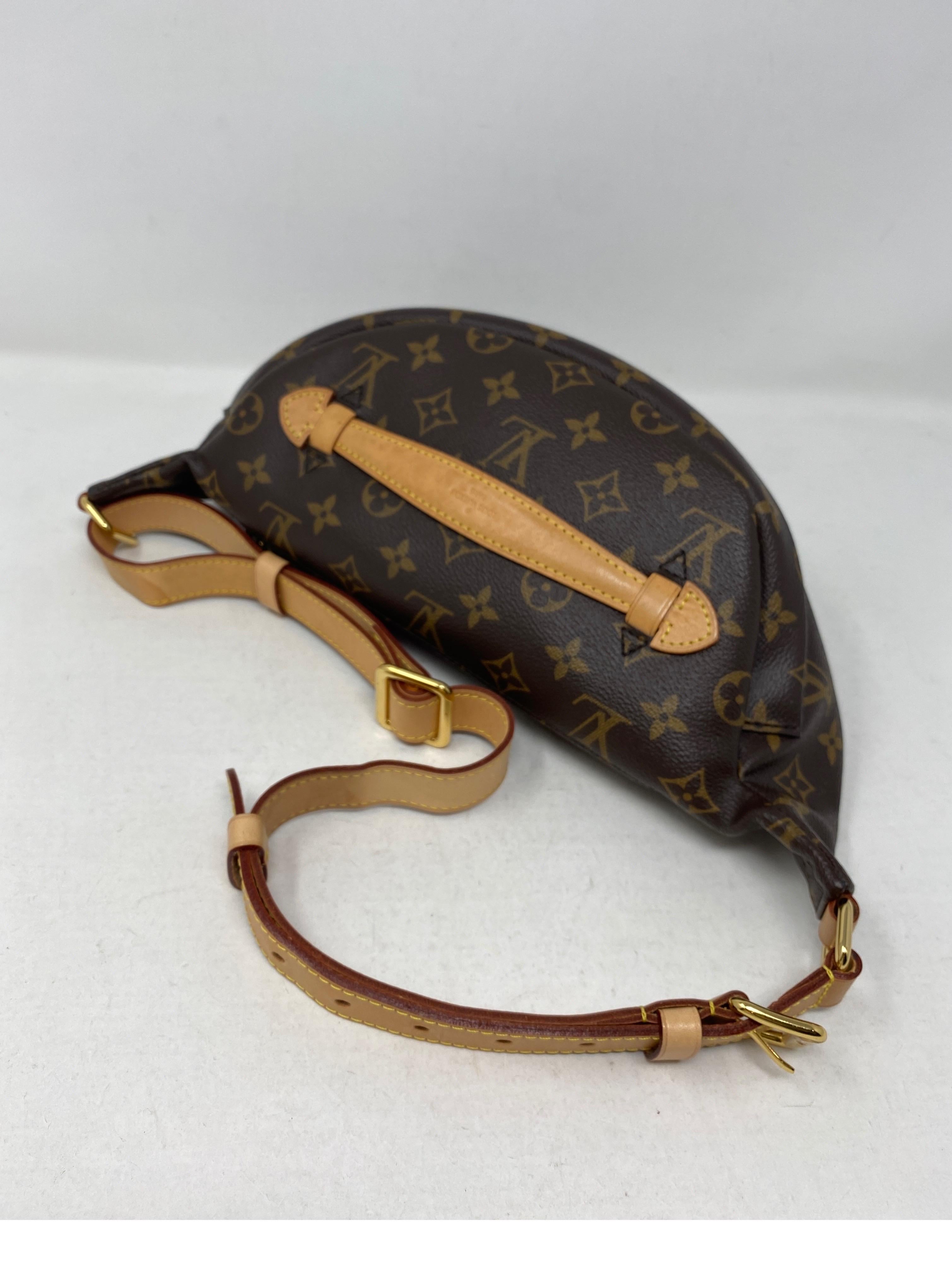 Louis Vuitton Bum Bag  For Sale 8