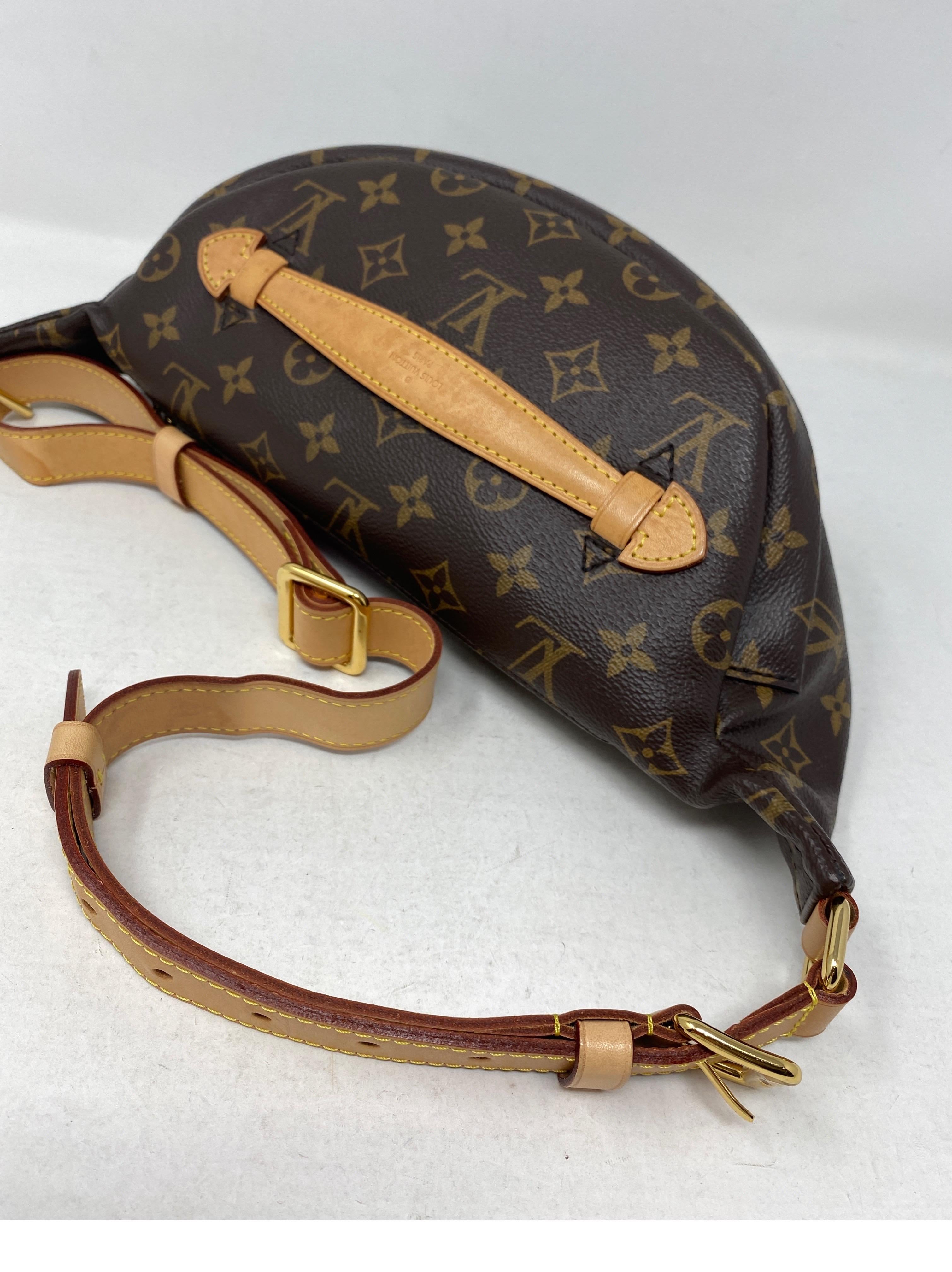 Louis Vuitton Bum Bag  8