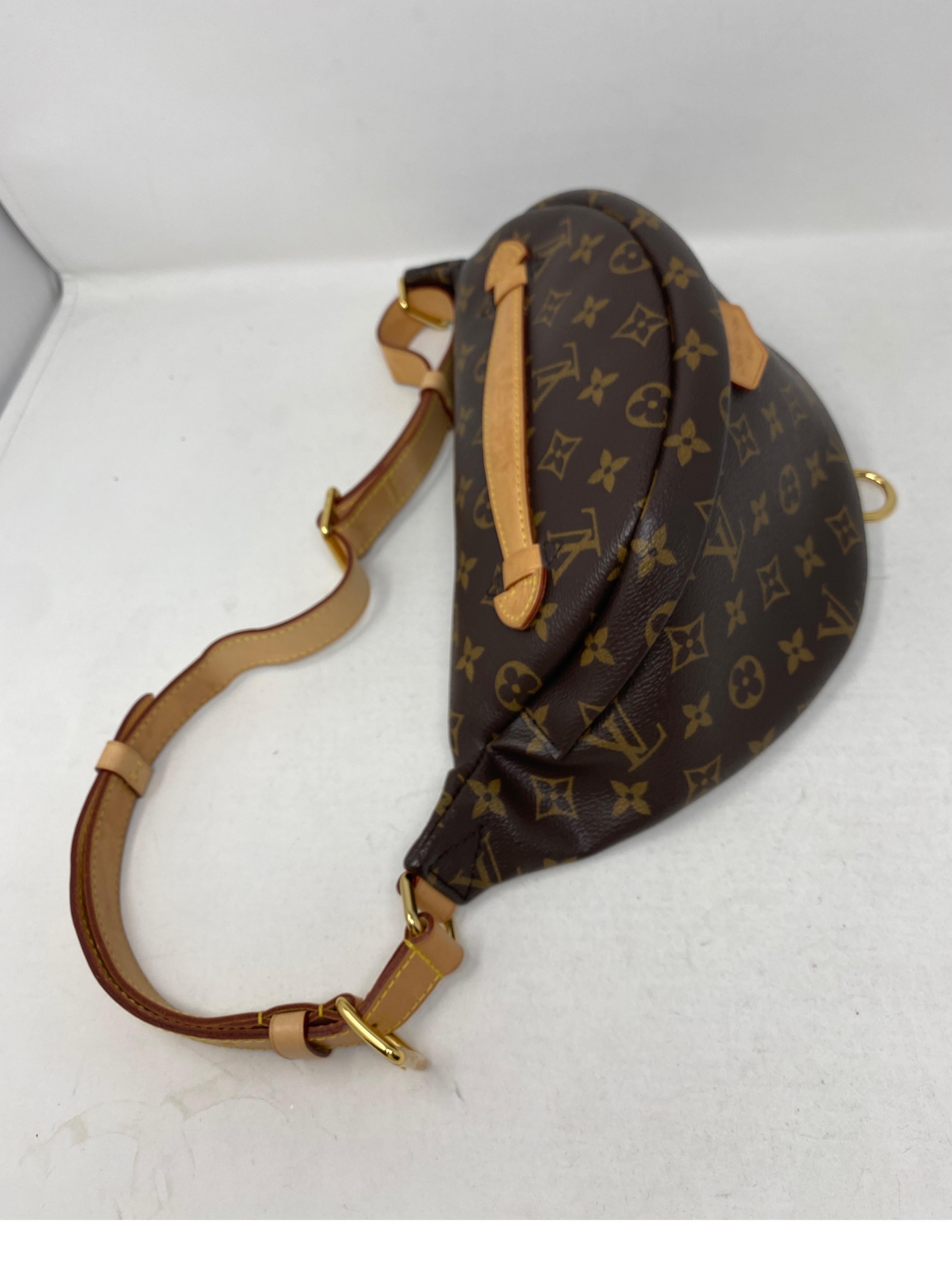 Louis Vuitton Bum Bag  For Sale 10