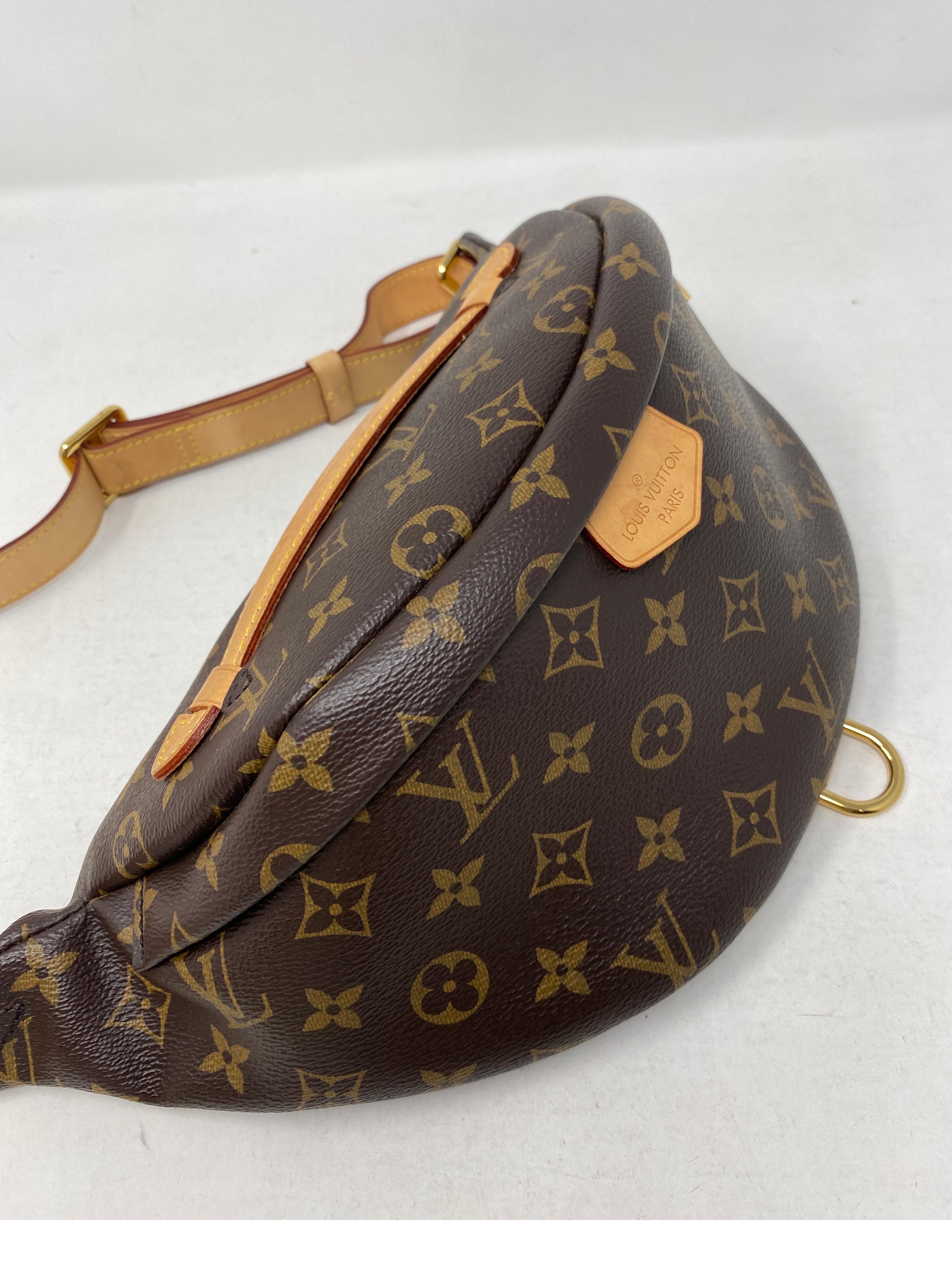 Louis Vuitton Bum Bag  For Sale 11