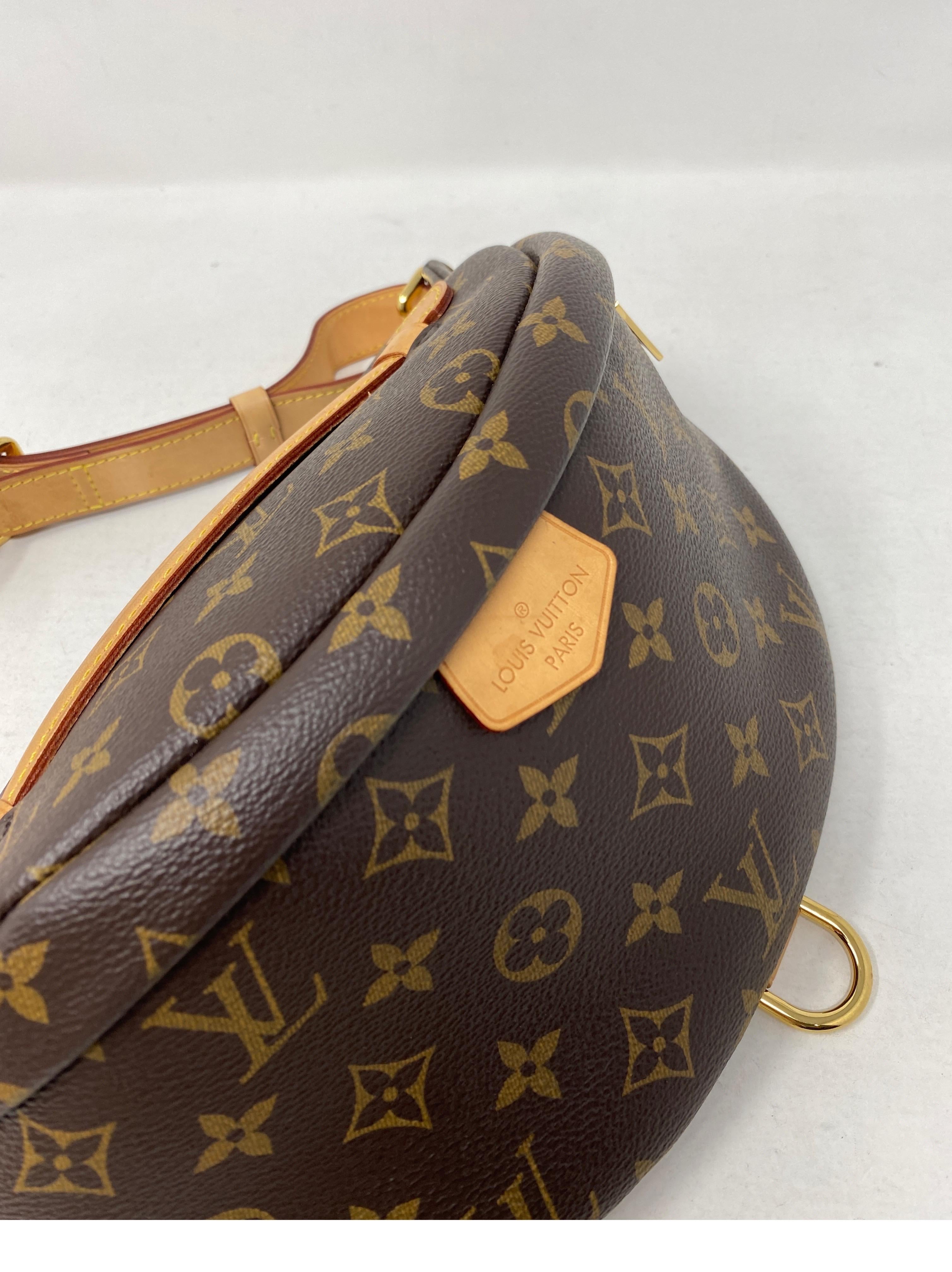 Louis Vuitton Bum Bag  For Sale 12