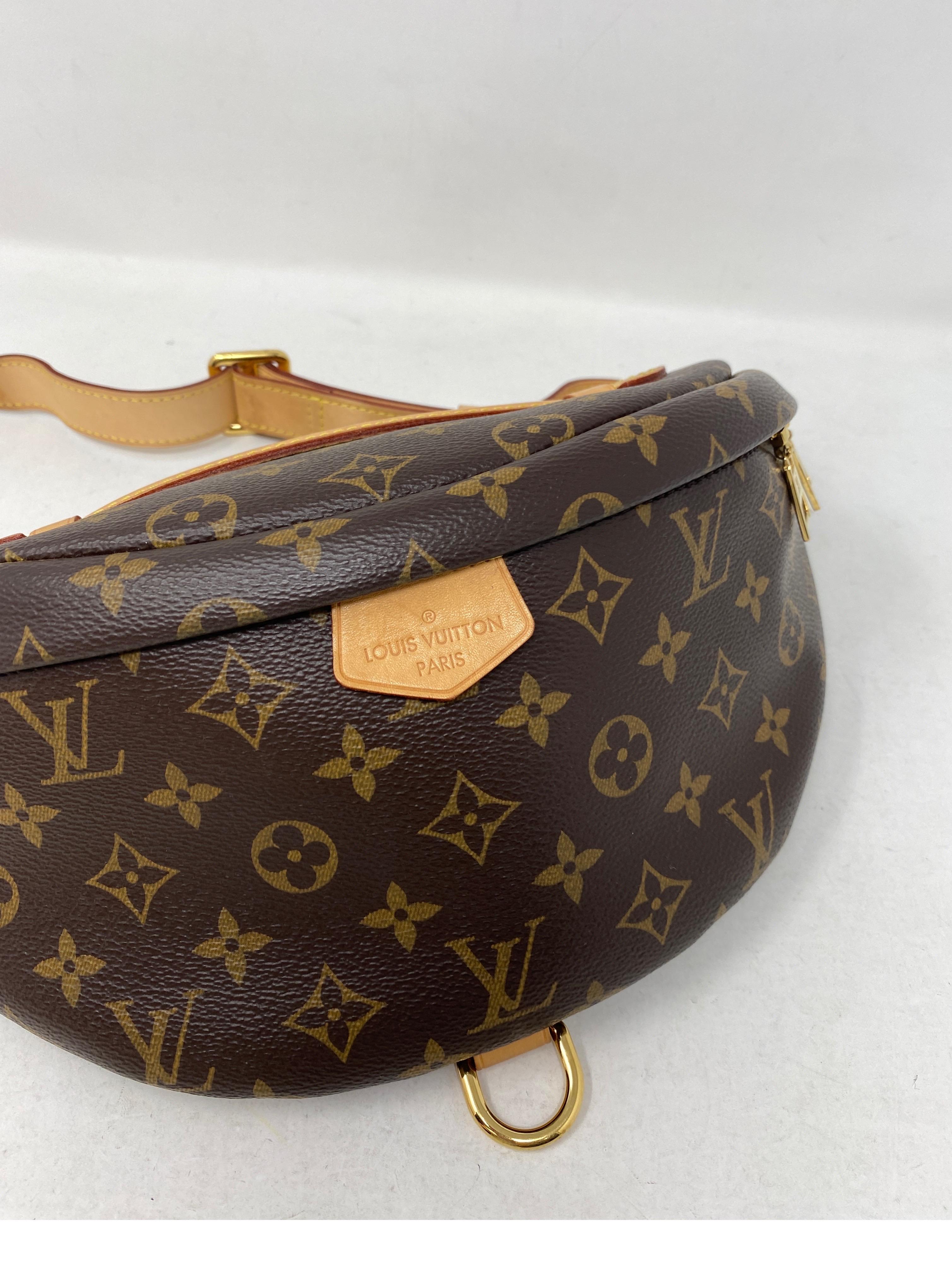 Louis Vuitton Bum Bag  For Sale 13