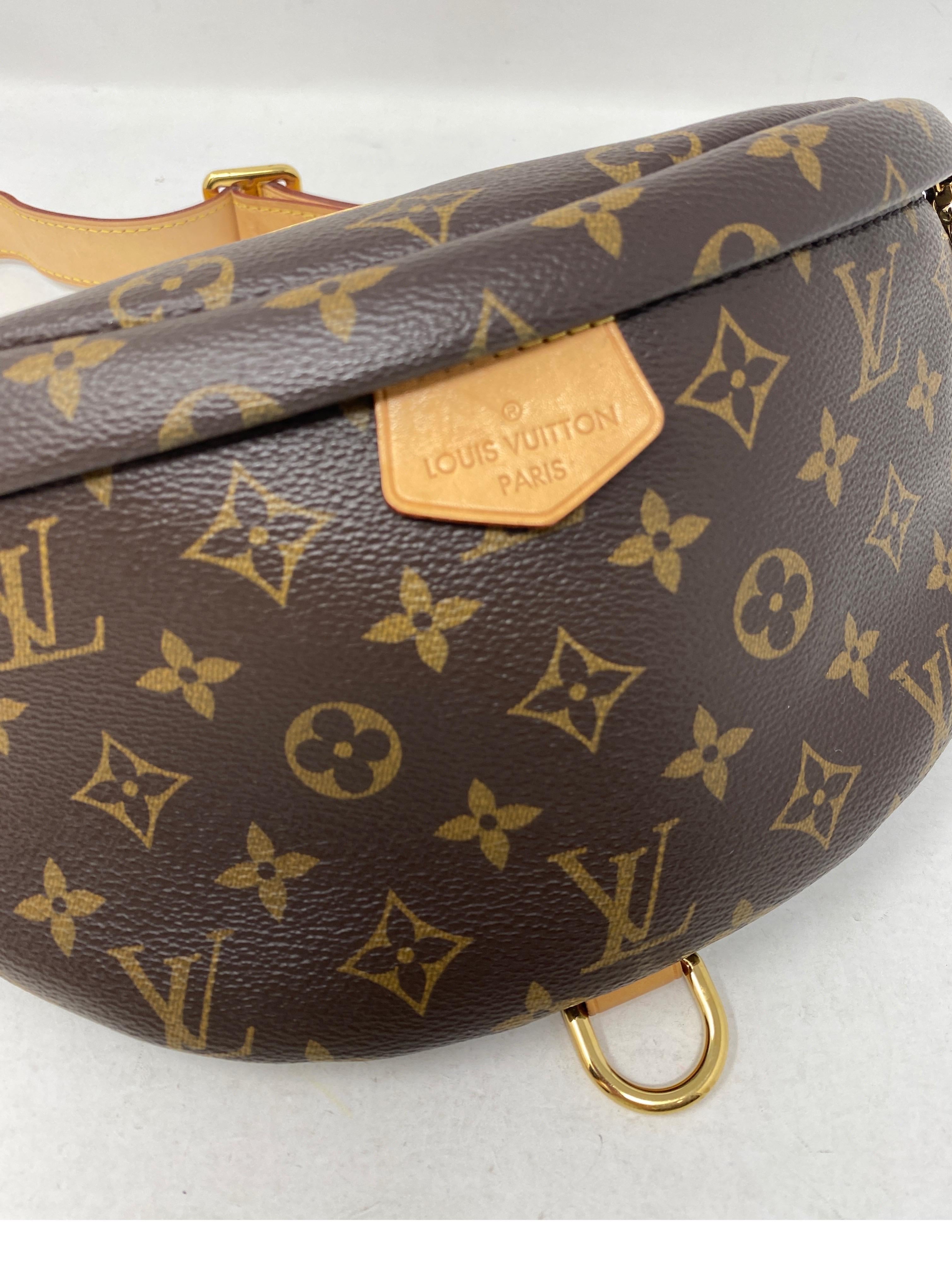 Louis Vuitton Bum Bag  For Sale 14