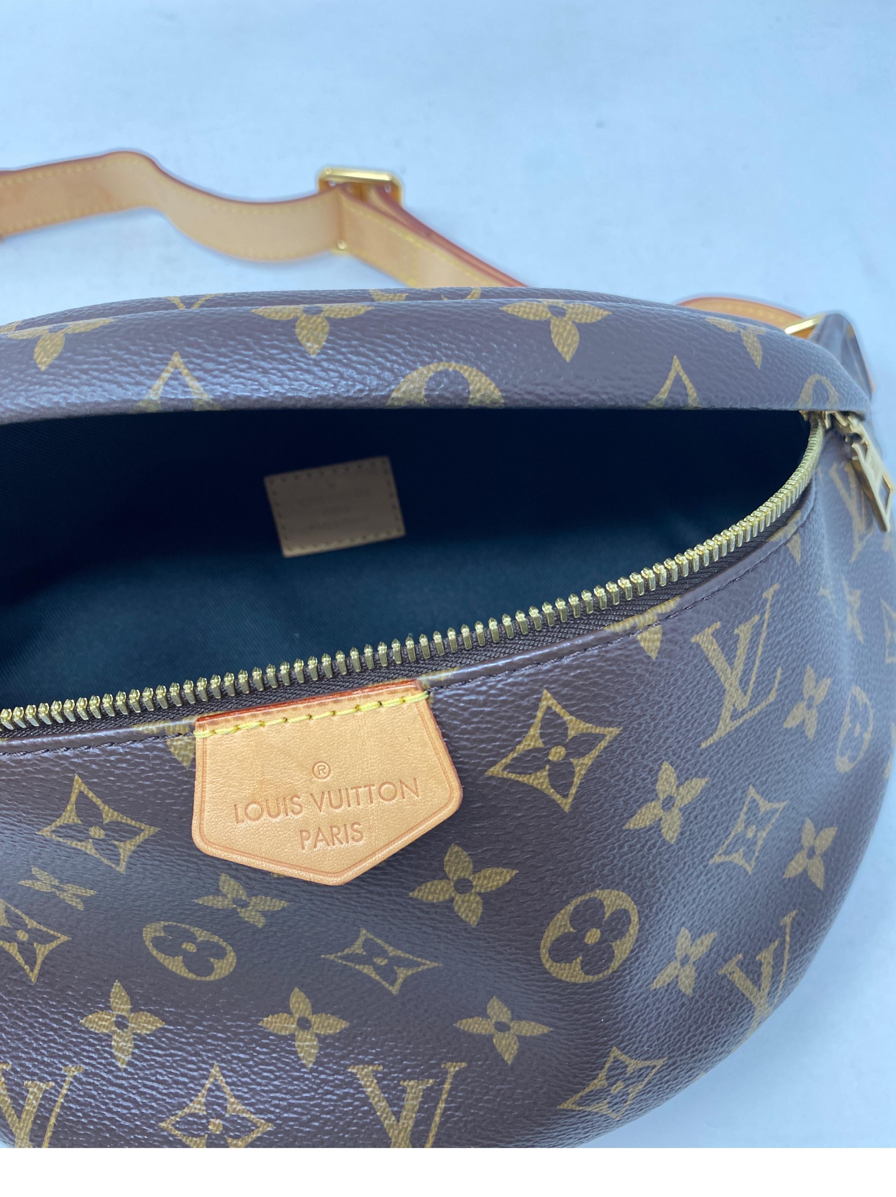 Louis Vuitton Bum Bag  For Sale 15