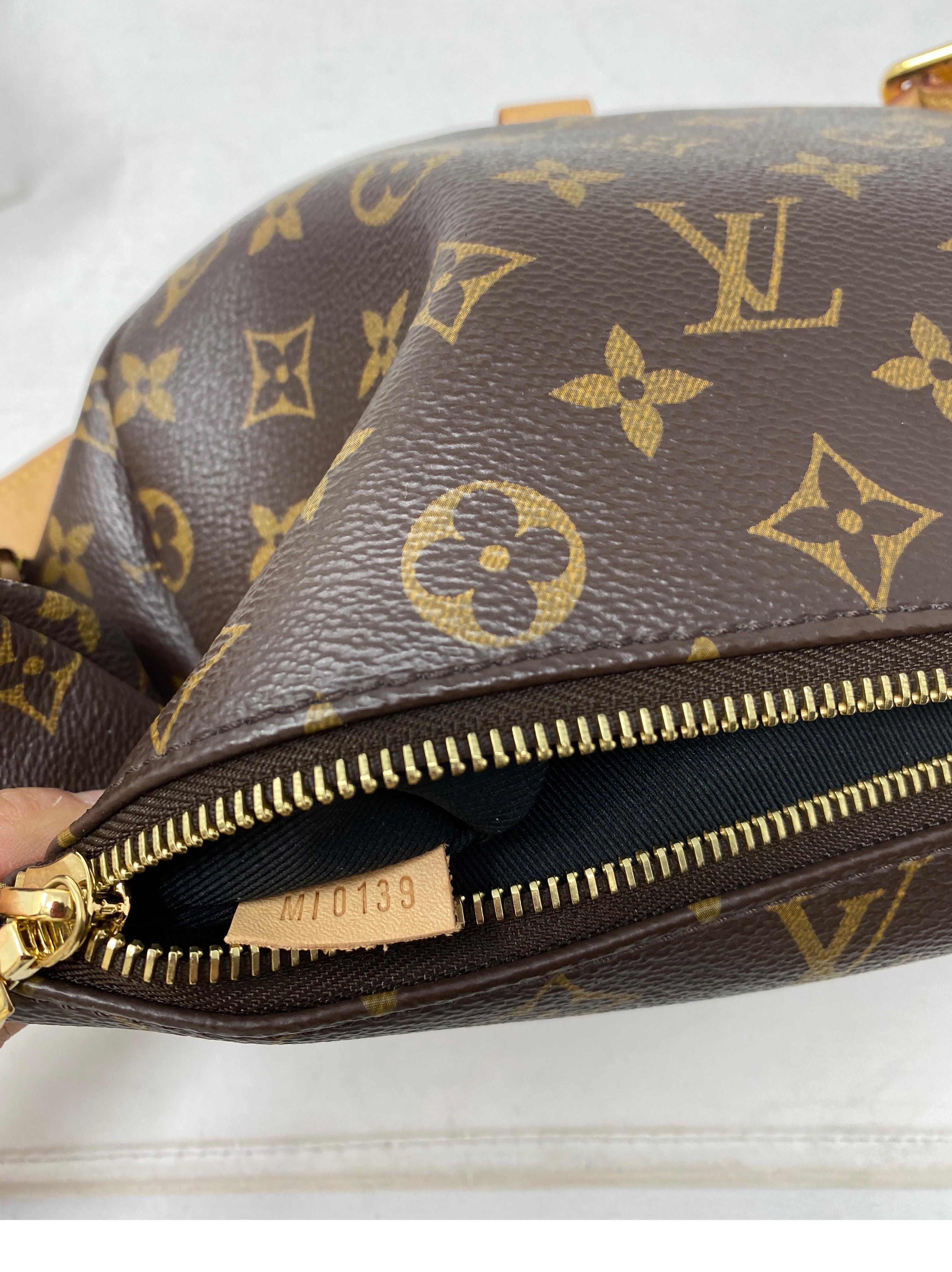 Louis Vuitton Bum Bag  For Sale 16