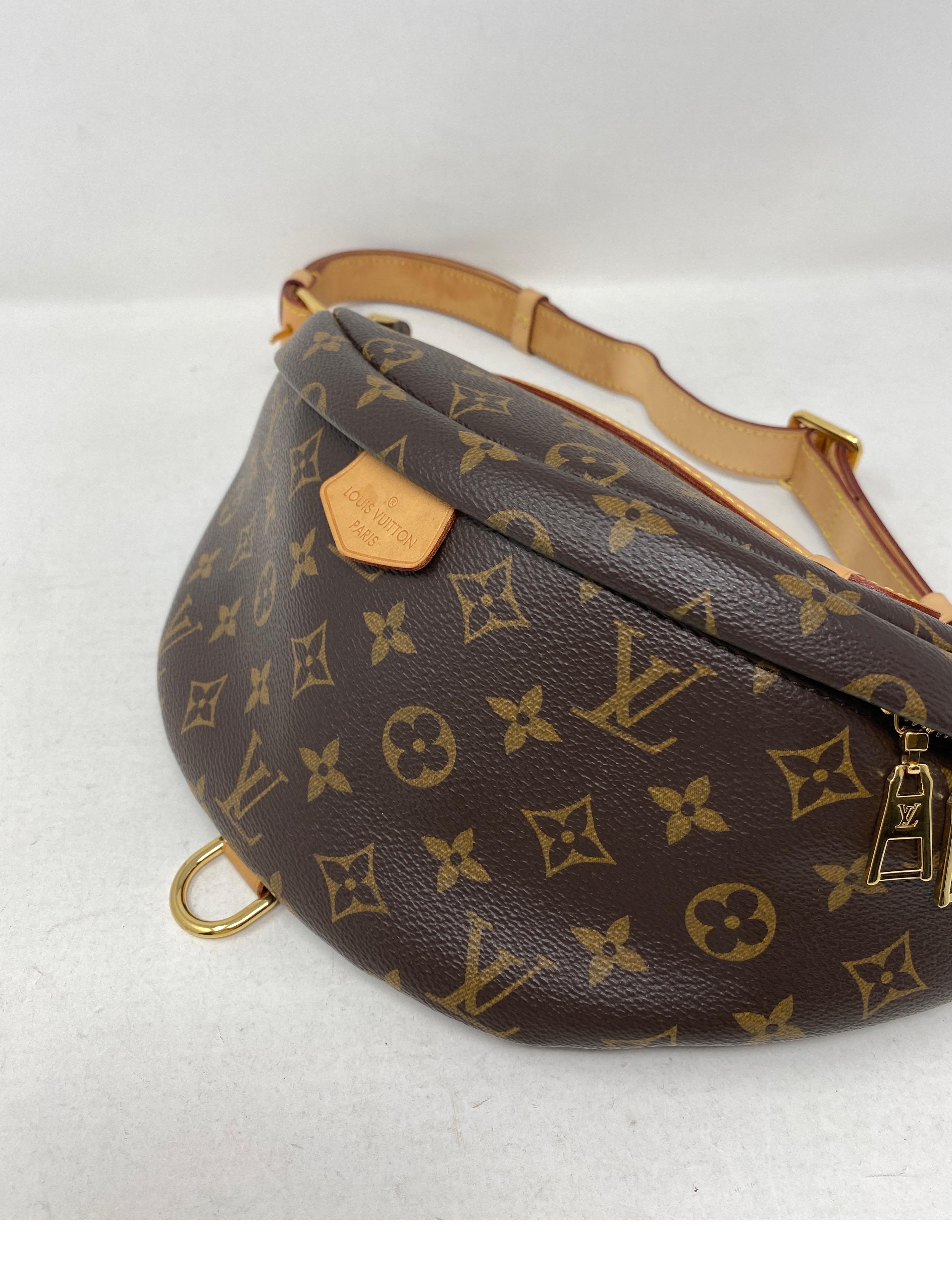 Louis Vuitton Bum Bag  For Sale 1