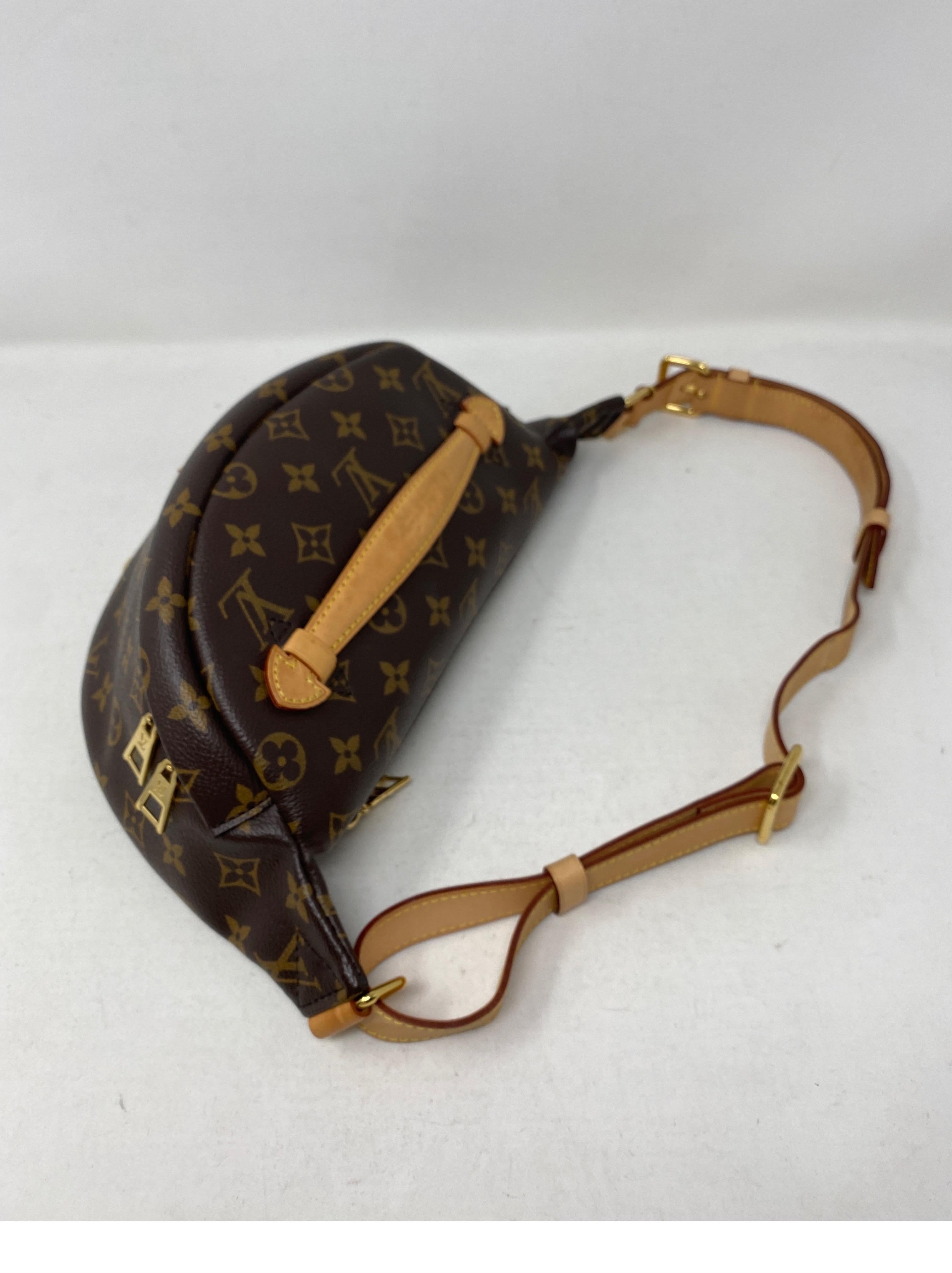 Louis Vuitton Bum Bag  1