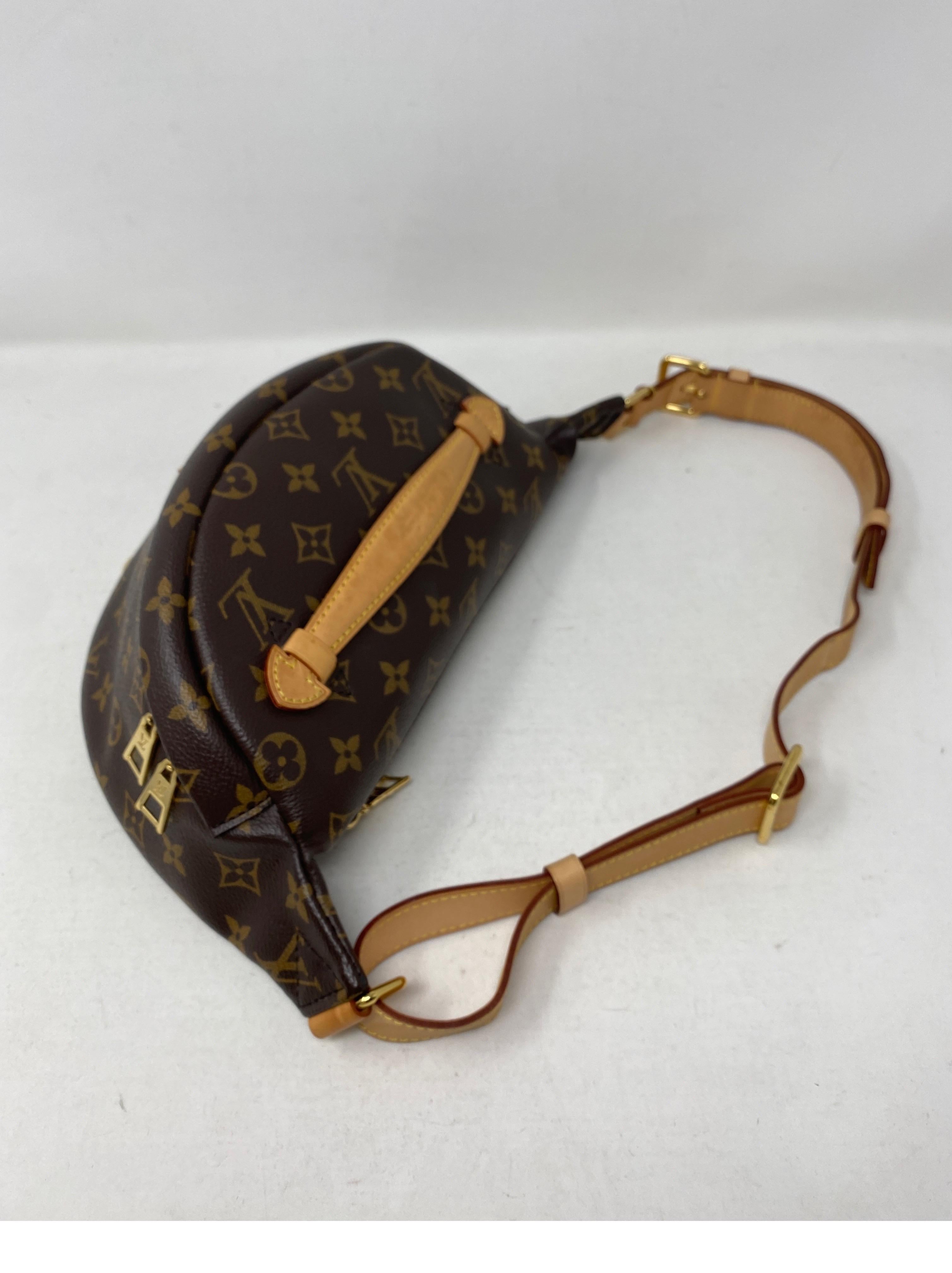 Louis Vuitton Bum Bag  For Sale 3