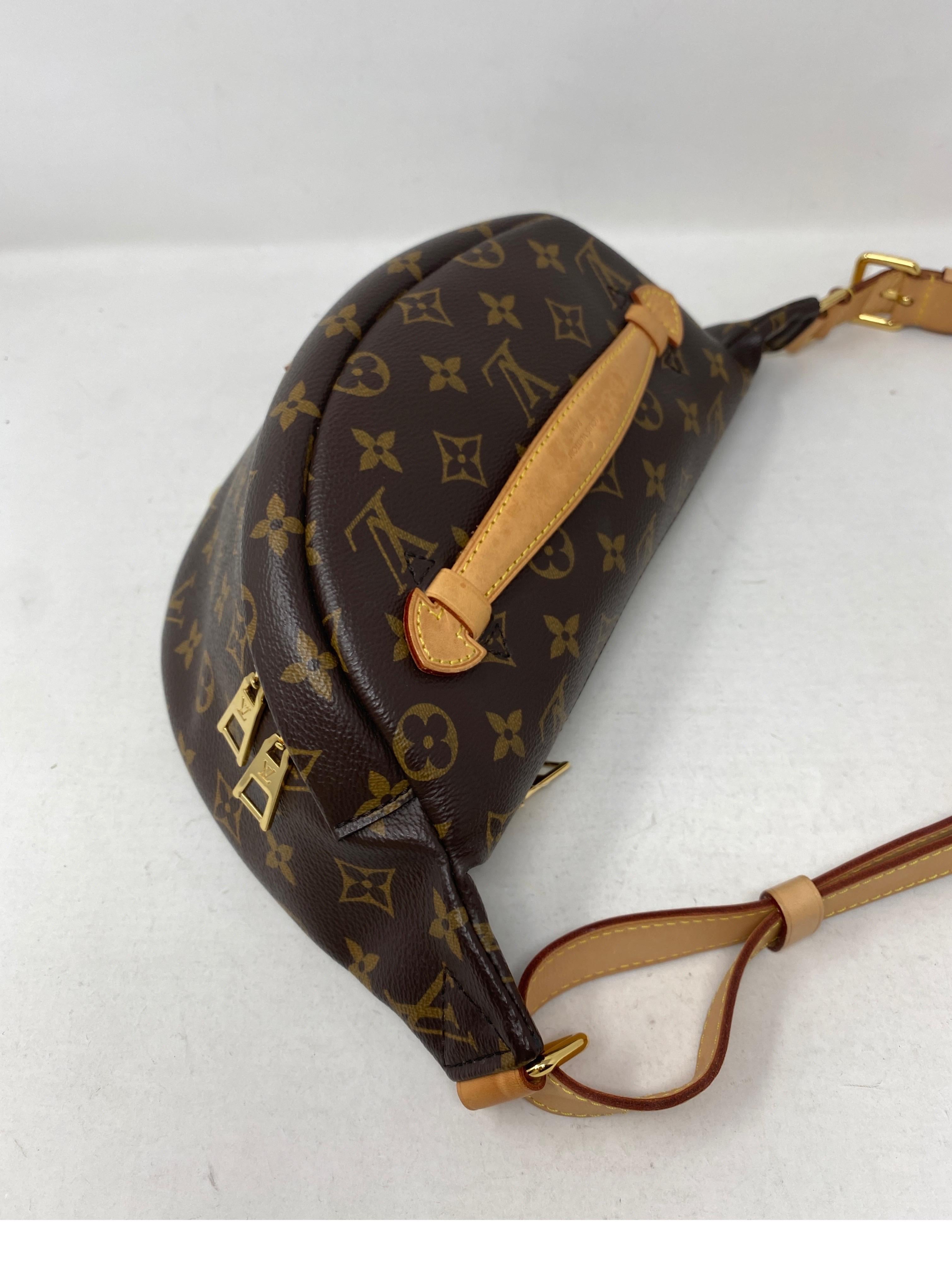 Louis Vuitton Bum Bag  For Sale 4