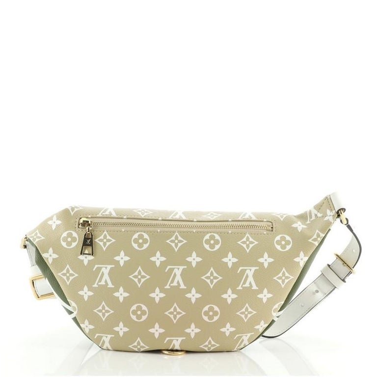 250 Bum bag by louis vuitton Stock Pictures, Editorial Images and Stock  Photos