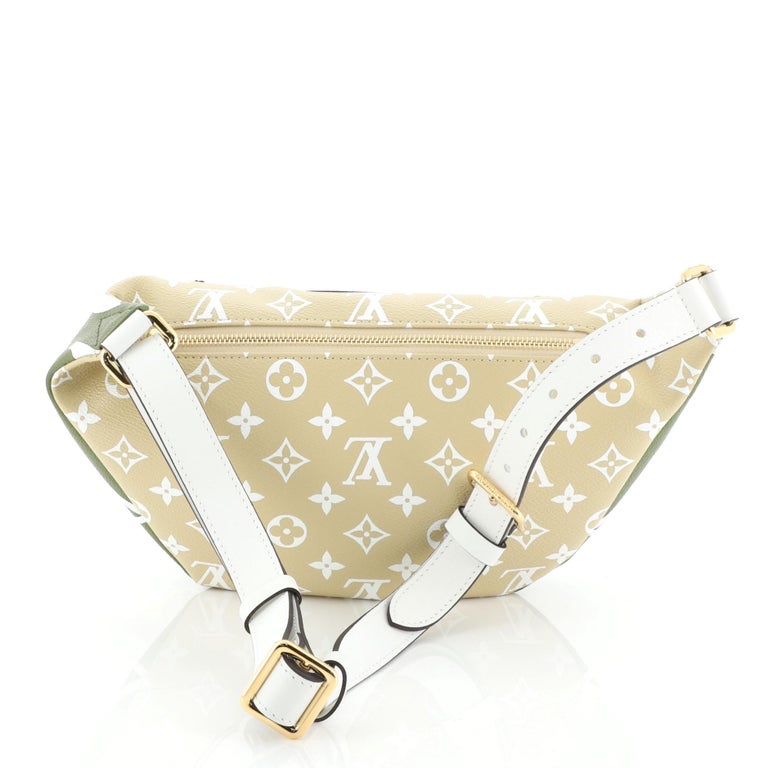 Louis Vuitton Bum Bag Limited Edition Colored Monogram Giant Green 8805666