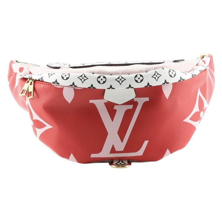 Louis Vuitton Bum Bag Limited Edition Colored Monogram Giant at 1stDibs