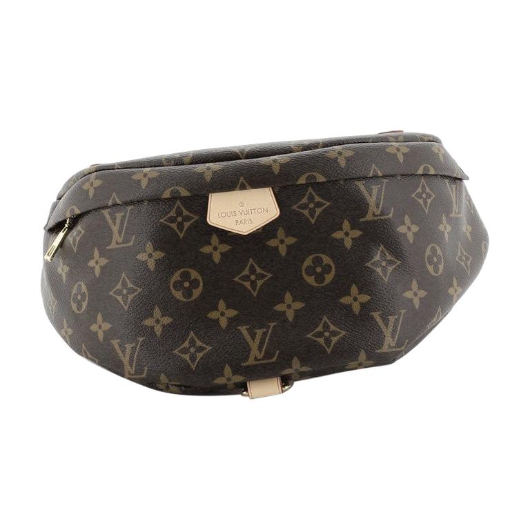 Belt Bags for Men  Small Luxury Bag Collection  LOUIS VUITTON