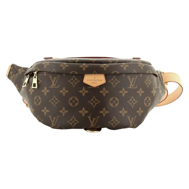 Louis Vuitton Bum Bag Monogram Canvas at 1stDibs  louis vuitton bumbag  monogram, lv bumbag, louis vuitton id wallet