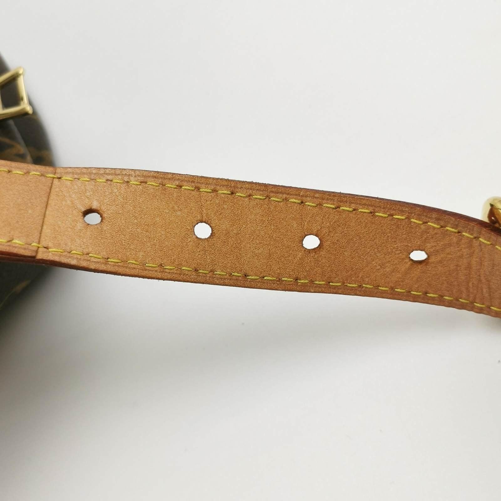 Louis Vuitton Bumbag Monogram Brown 2020 7