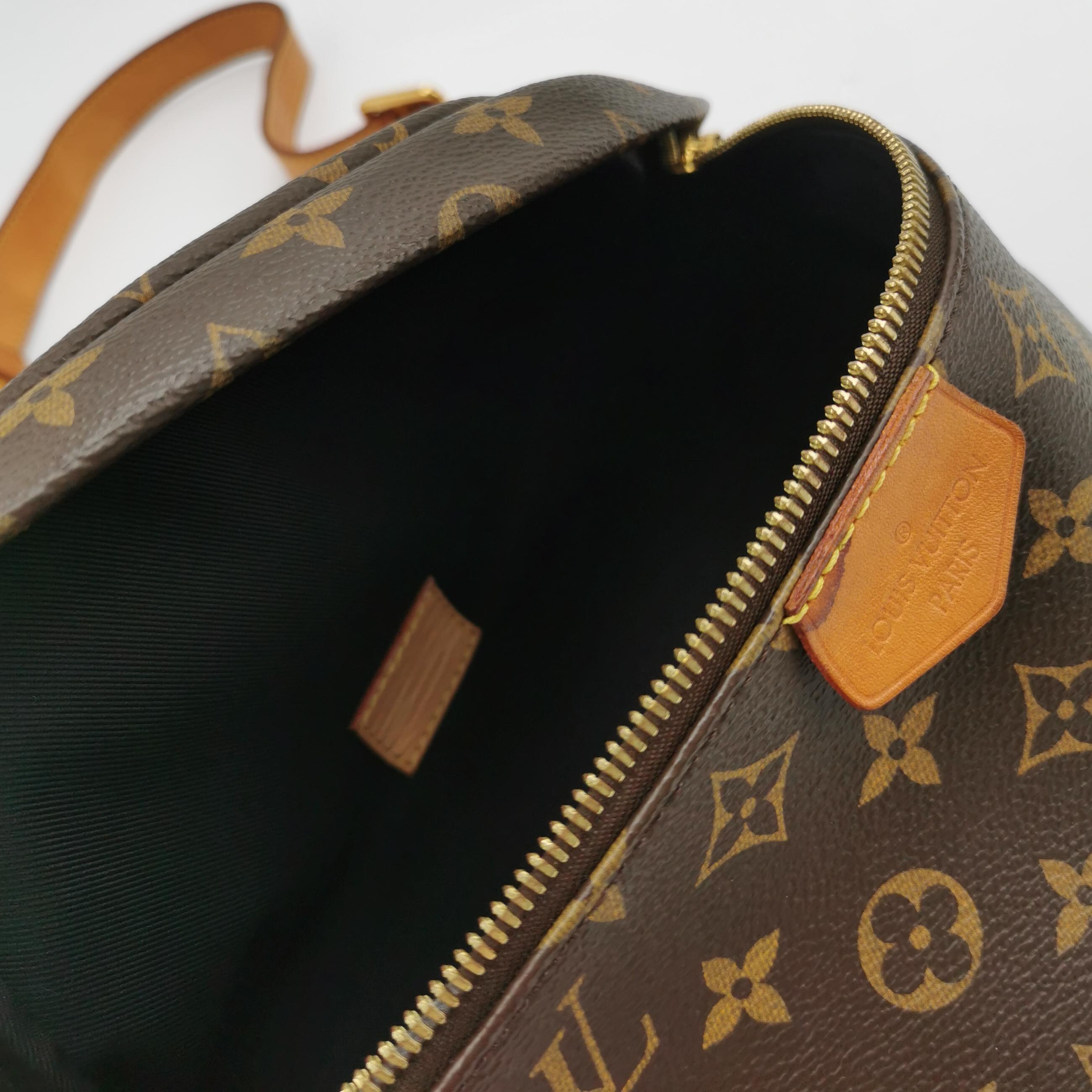 Louis Vuitton Gürteltasche Monogram Braun im Angebot 2