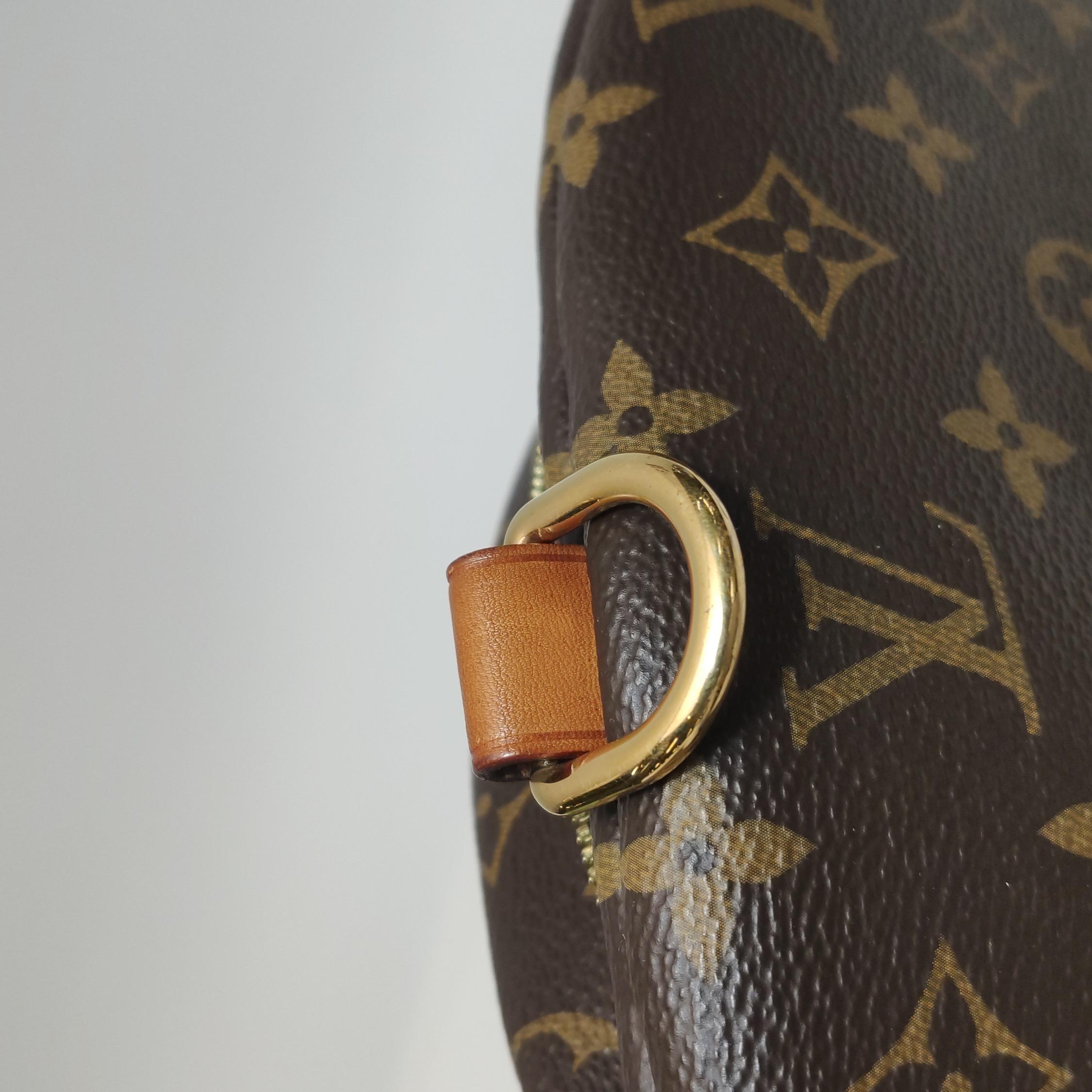 Louis Vuitton Gürteltasche Monogram Braun im Angebot 3