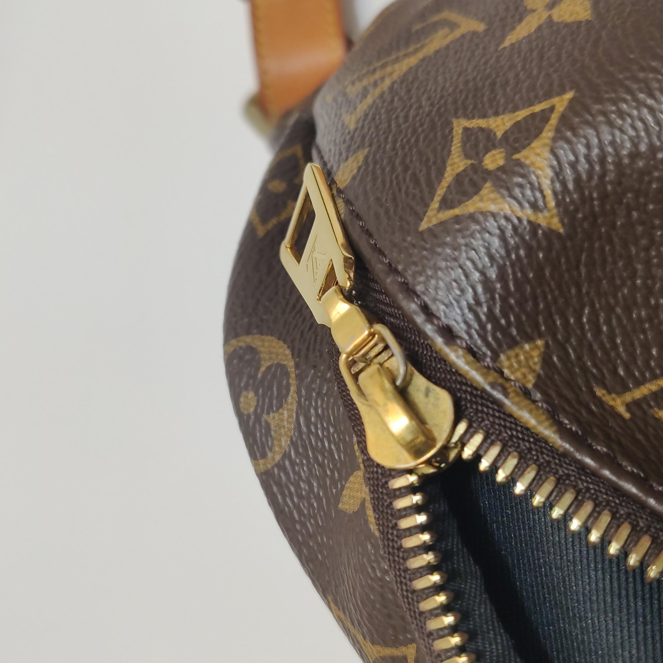 Louis Vuitton Gürteltasche Monogram Braun im Angebot 4