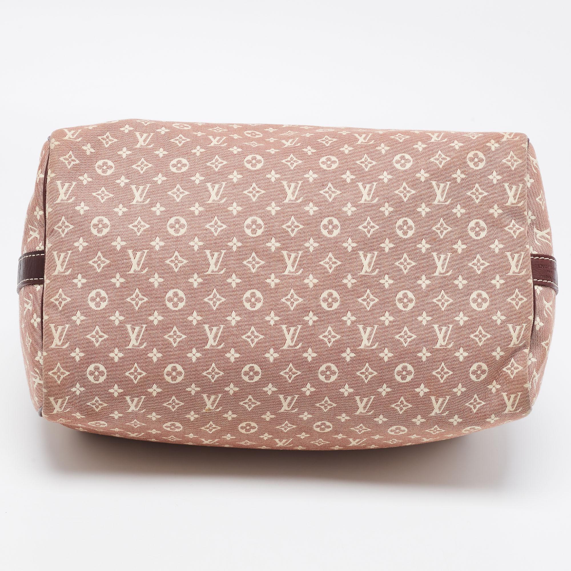 louis vuitton speedy bag sizes