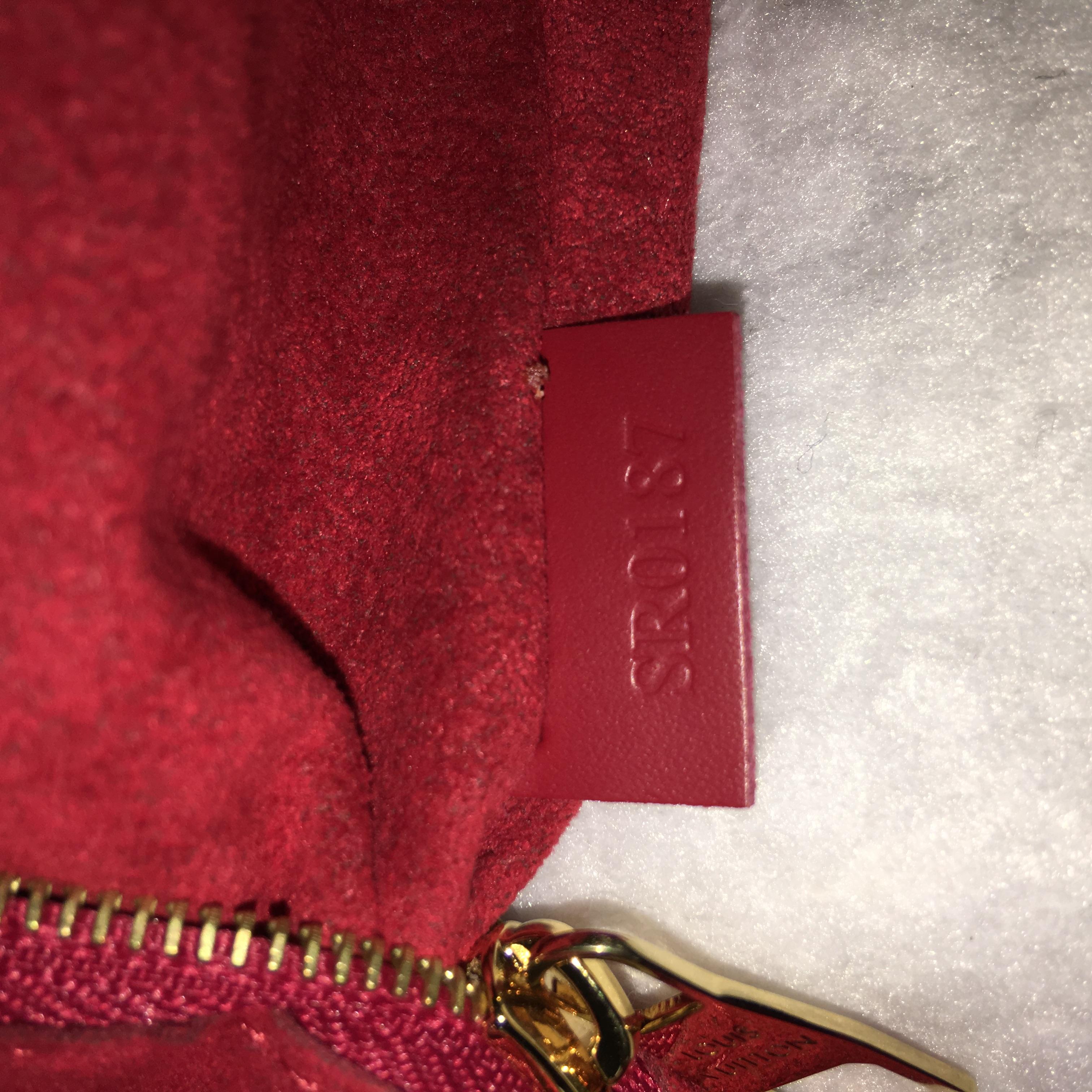 Louis Vuitton Caissa Hobo Damier  1