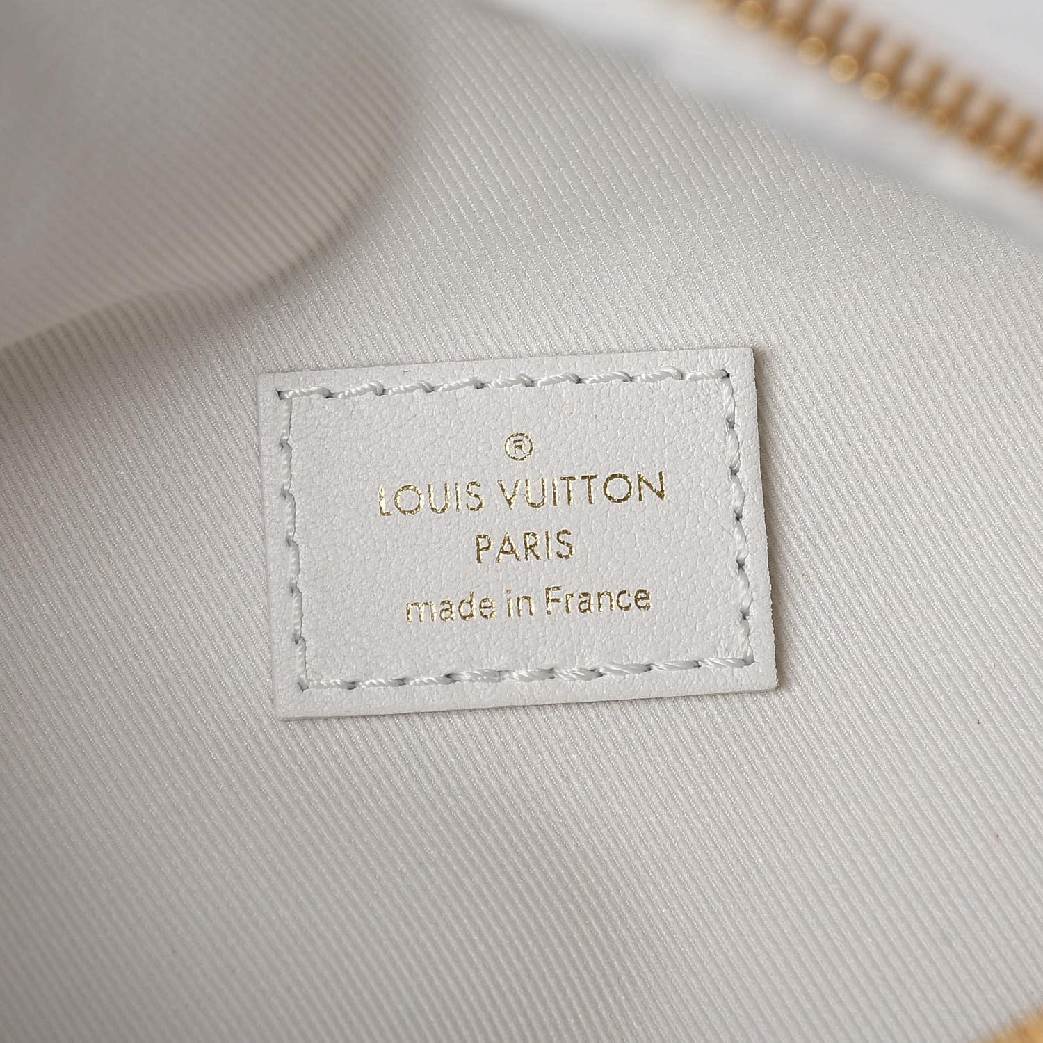 Louis Vuitton Calfskin Snow New Wave Bumbag Belt Bag 4