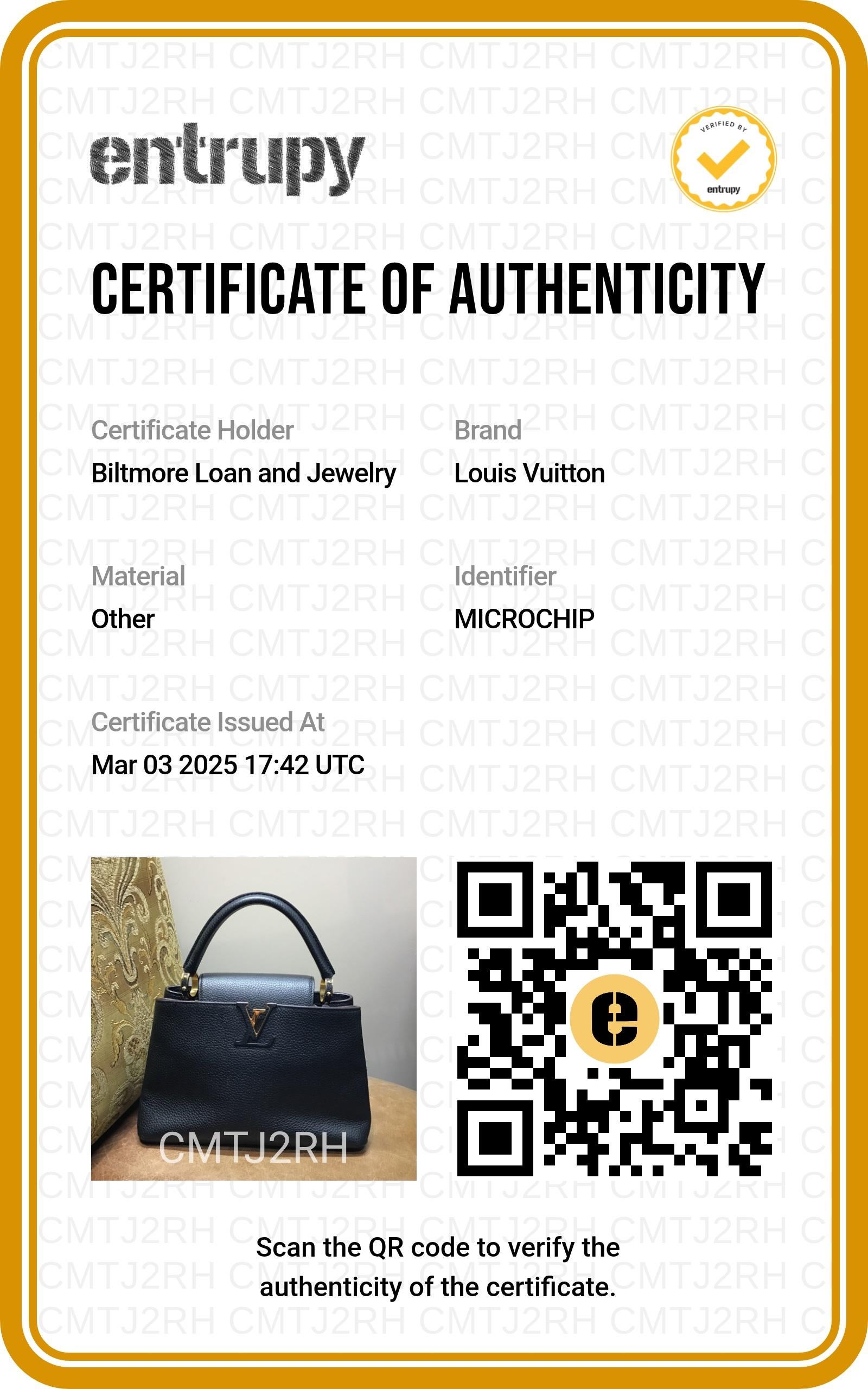 Louis Vuitton Calfskin Taurillion Capucines MM Top Handle Bag For Sale 6
