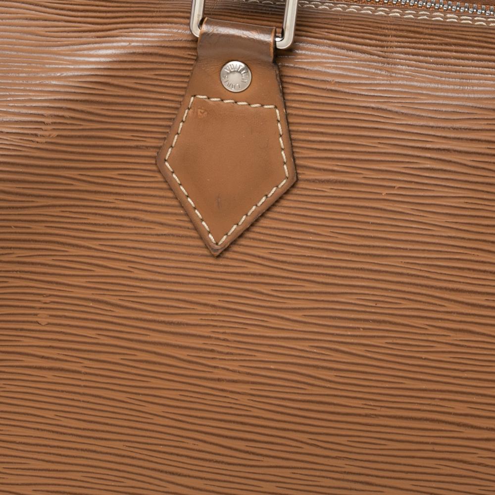 Louis Vuitton Canelle Epi Leather Speedy 25 Bag 1