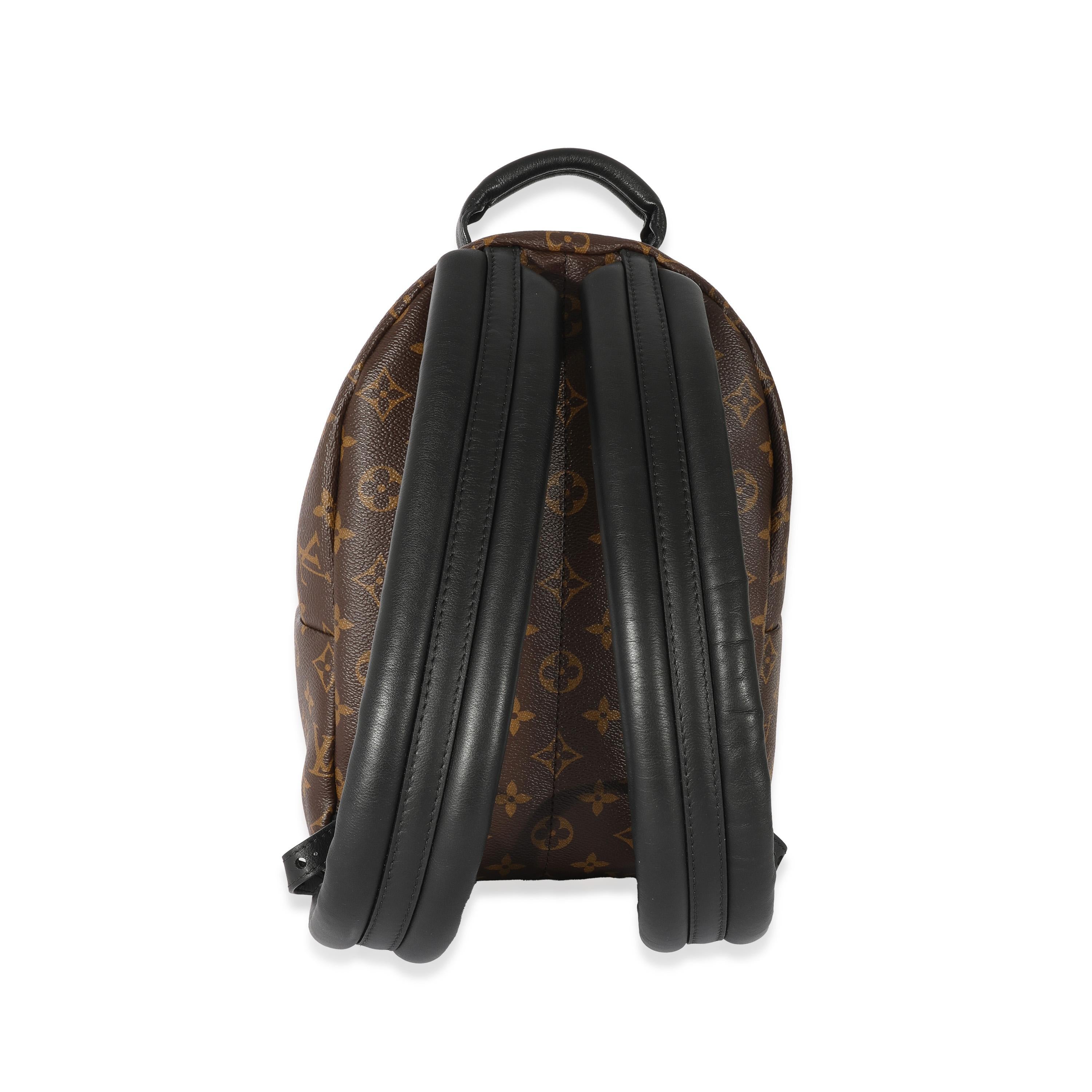 lv backpack