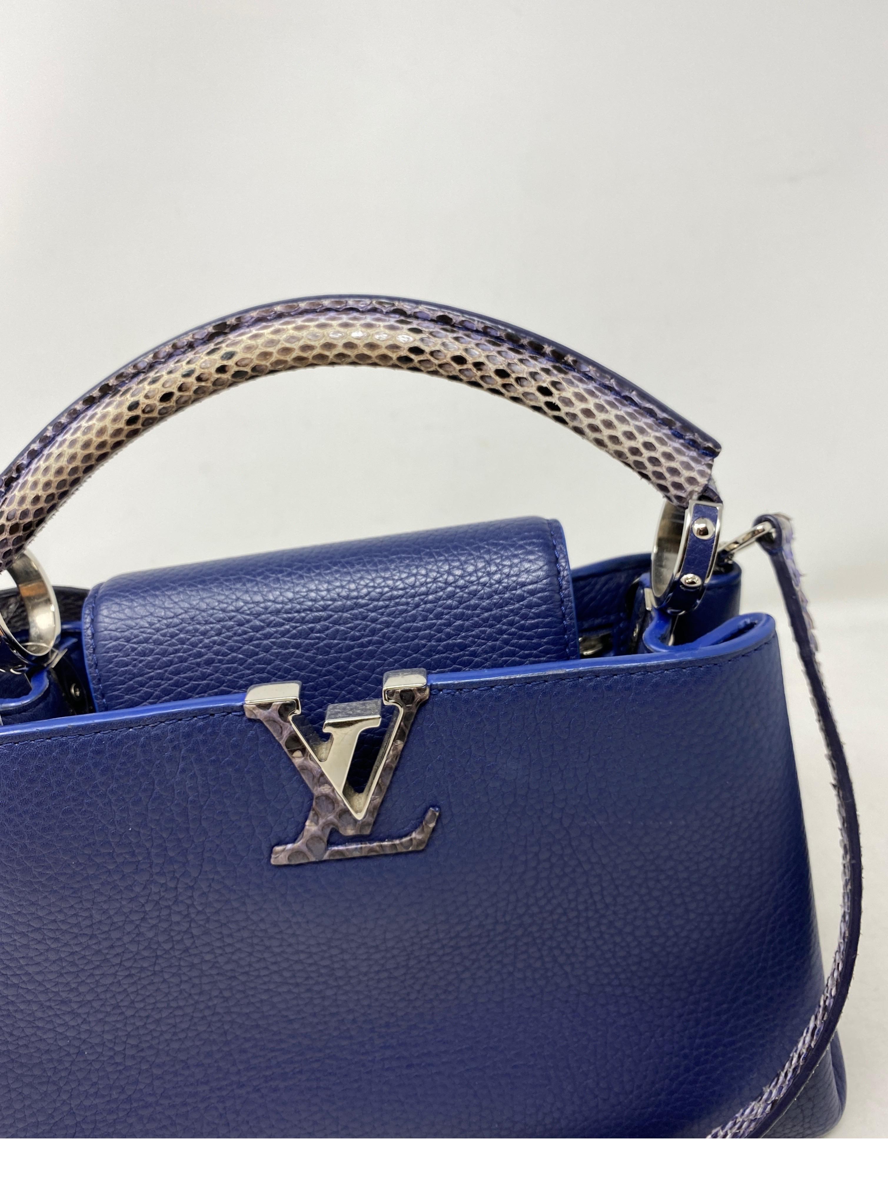 Louis Vuitton Capucine Python Bag  9